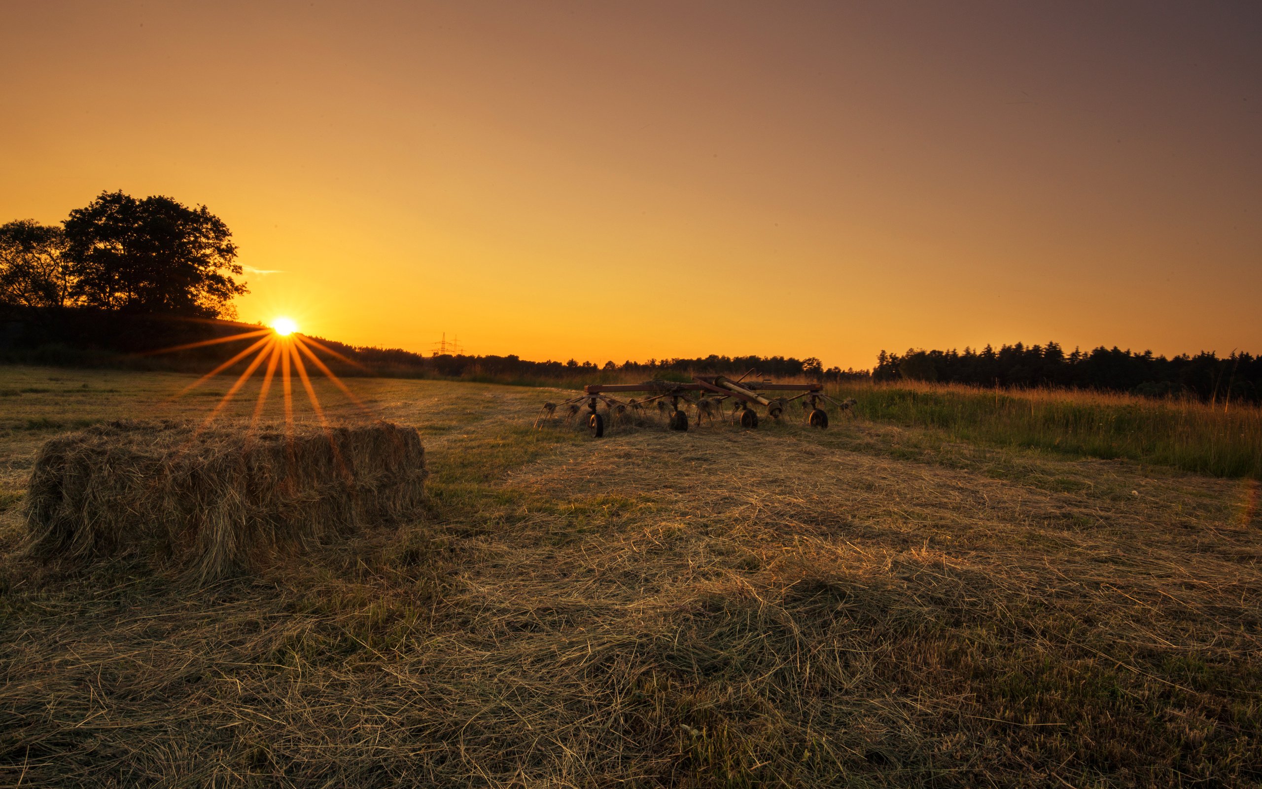 Обои трава, солнце, закат, поле, lena held, grass, the sun, sunset, field разрешение 5472x3648 Загрузить