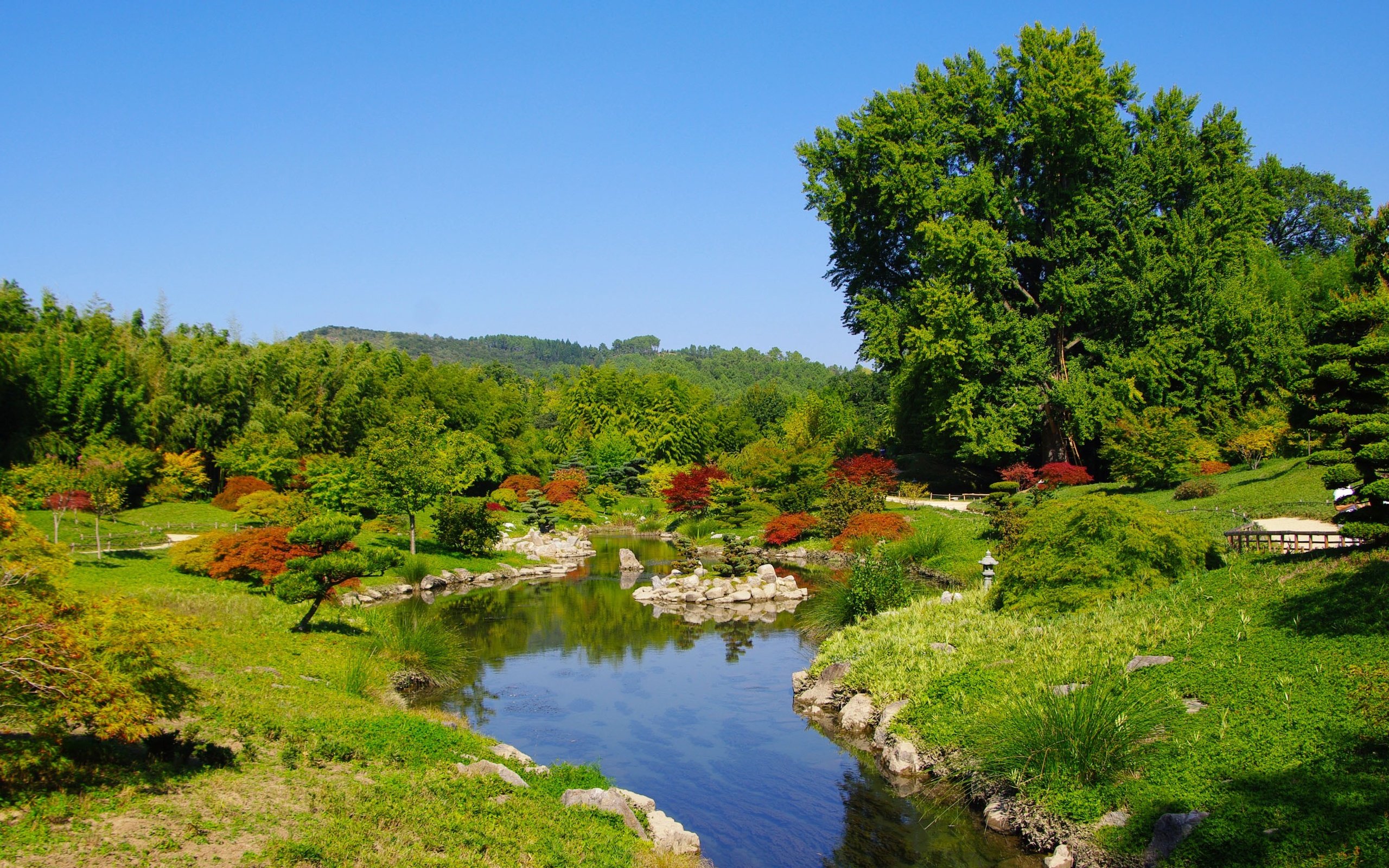 Обои природа, лес, пейзаж, парк, пруд, франци, anduze, nature, forest, landscape, park, pond, france разрешение 3008x1690 Загрузить