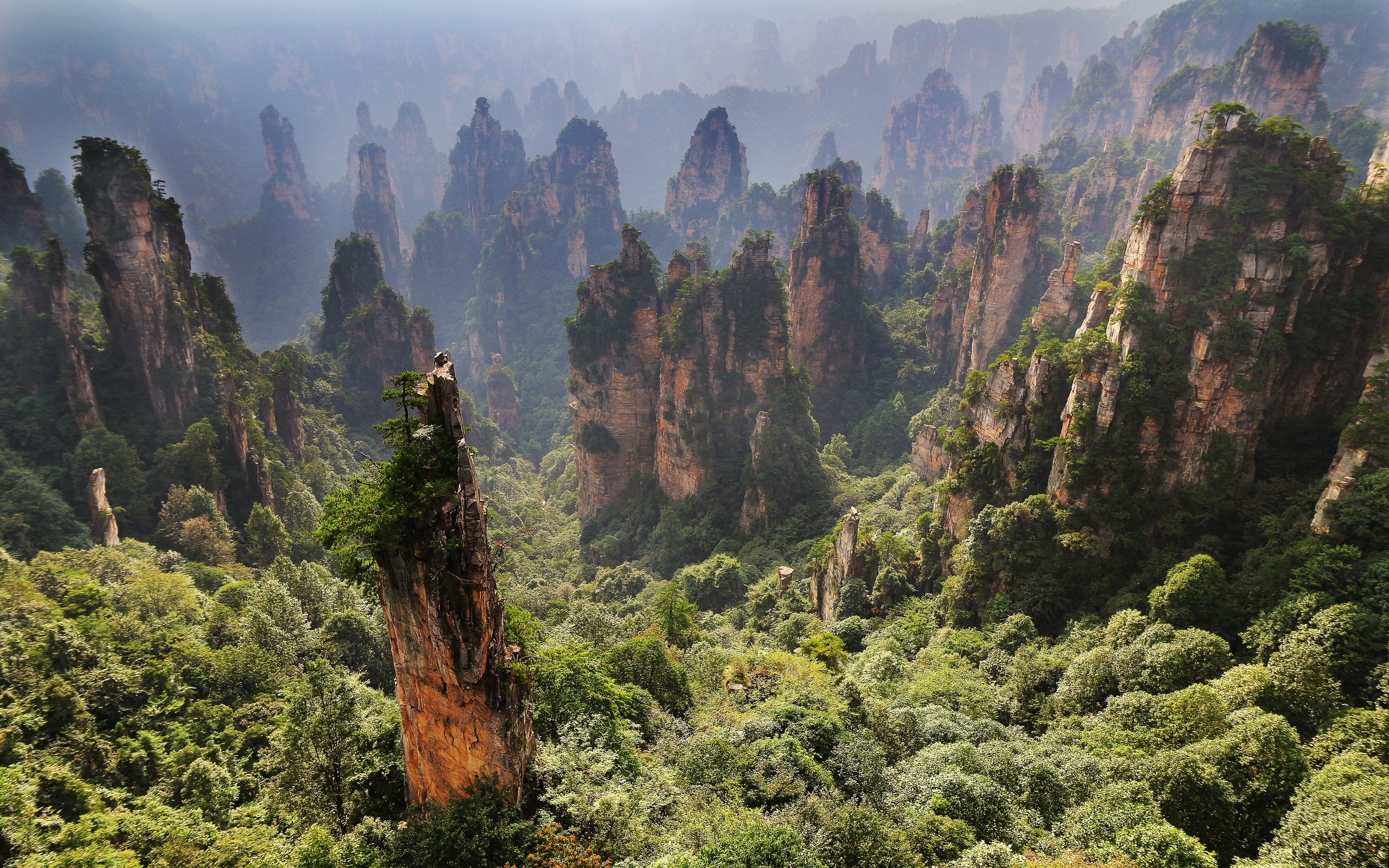 Обои горы, zhangjiajie, zhangjiajie national forest park, скалы, zhangjiajie national park, чжанцзяцзе, природа, пейзаж, утро, туман, китай, национальный парк, mountains, rocks, nature, landscape, morning, fog, china, national park разрешение 5119x3340 Загрузить