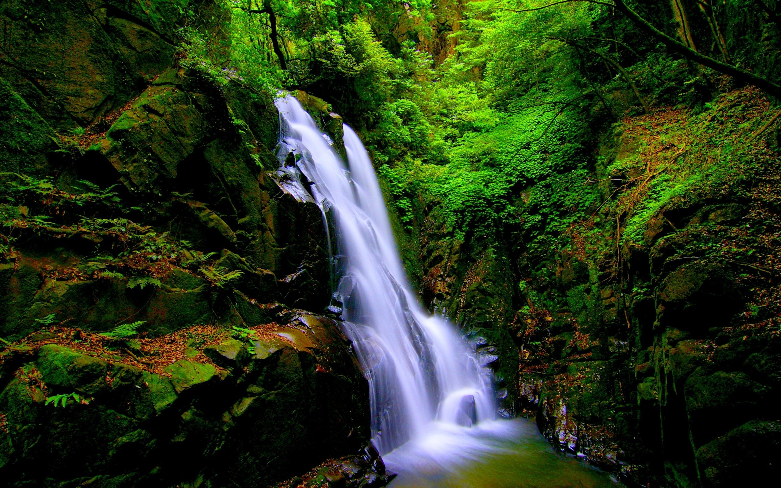 Обои камни, лес, пейзаж, скала, водопад, мох, stones, forest, landscape, rock, waterfall, moss разрешение 3000x2000 Загрузить