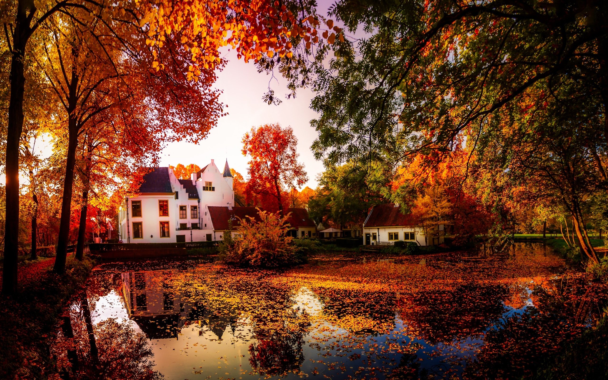 Обои деревья, природа, отражение, осень, дома, пруд, trees, nature, reflection, autumn, home, pond разрешение 3641x2048 Загрузить