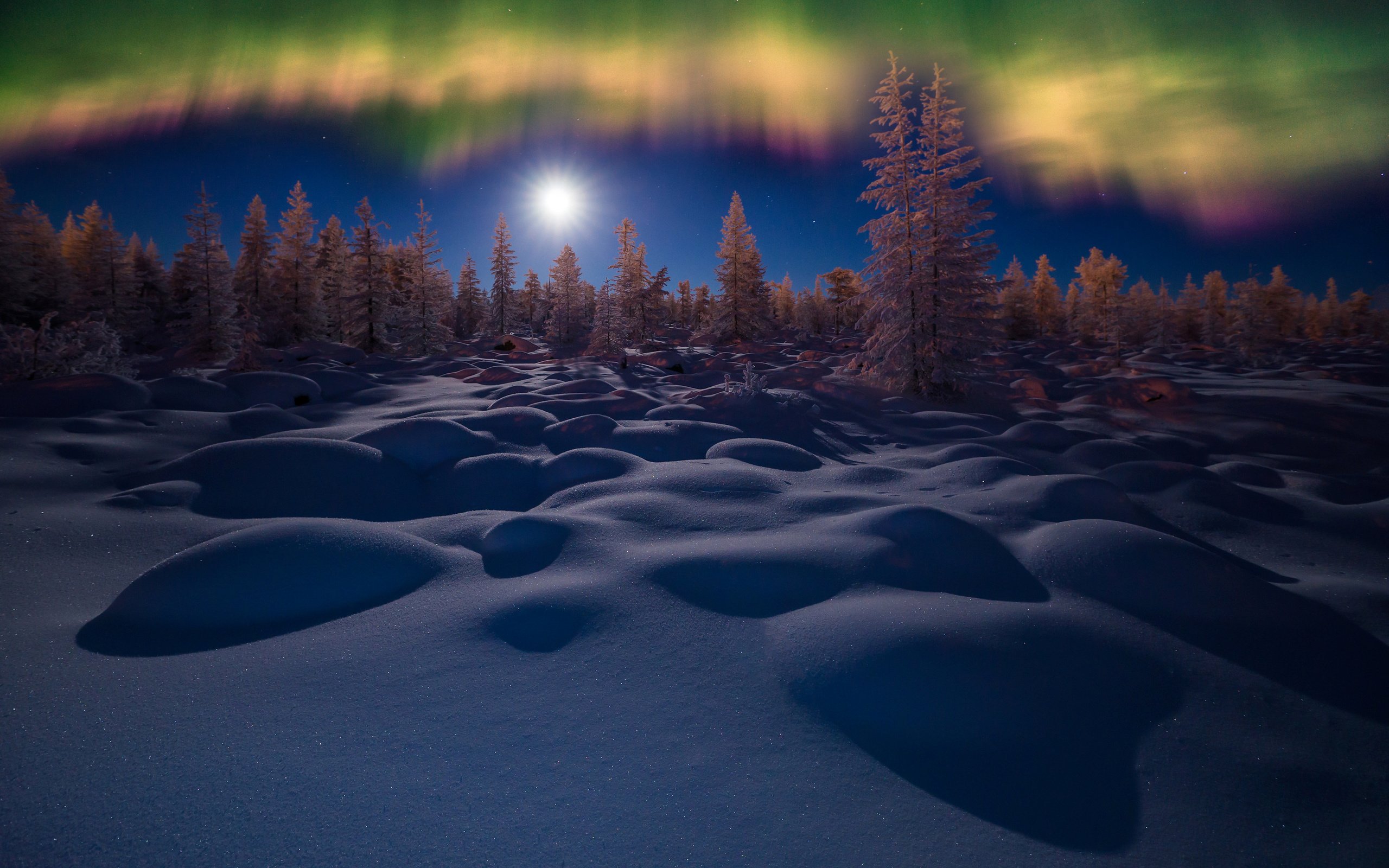 Обои вечер, снег, природа, зима, луна, северное сияние, the evening, snow, nature, winter, the moon, northern lights разрешение 2893x2000 Загрузить