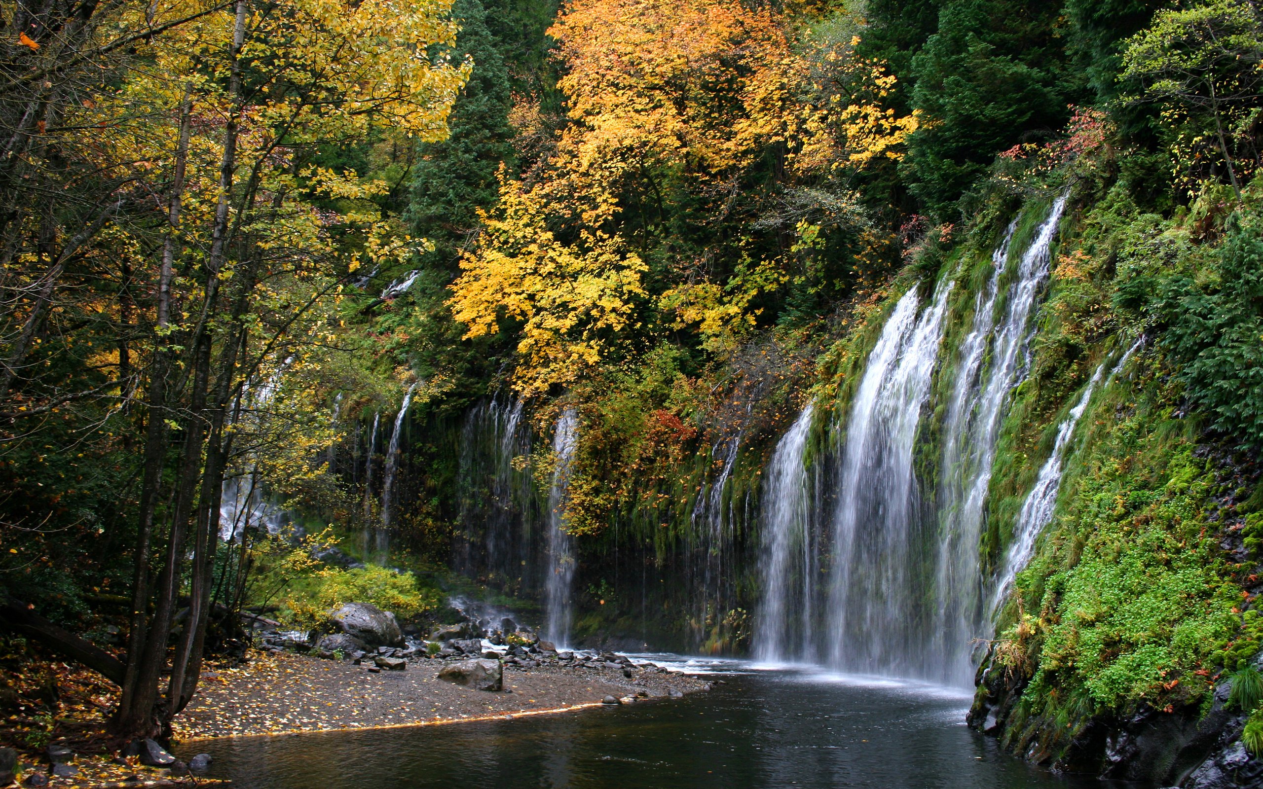водопад лес осень waterfall forest autumn загрузить