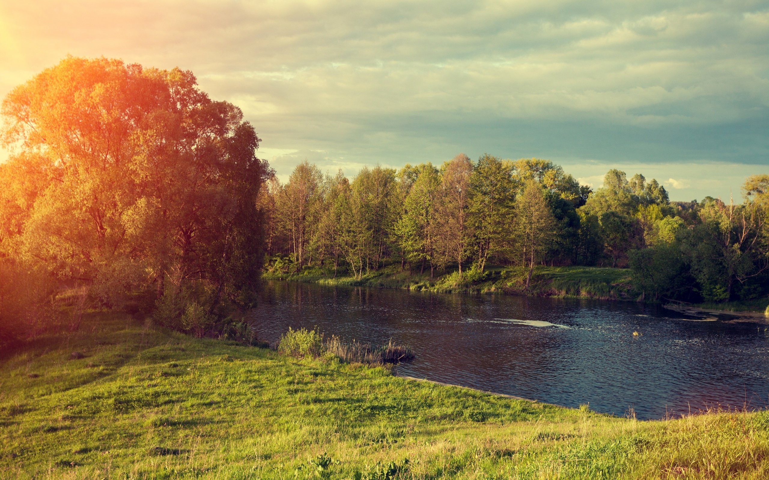 Обои деревья, река, солнце, природа, лес, trees, river, the sun, nature, forest разрешение 2880x1800 Загрузить