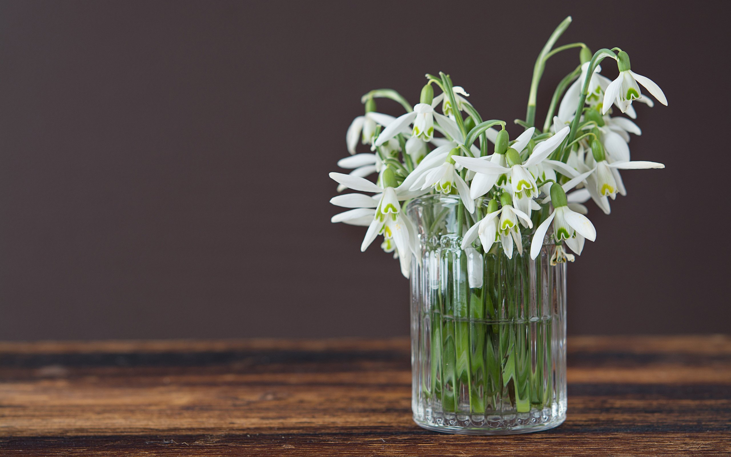 Обои цветы, весна, ваза, подснежники, flowers, spring, vase, snowdrops разрешение 2880x1800 Загрузить