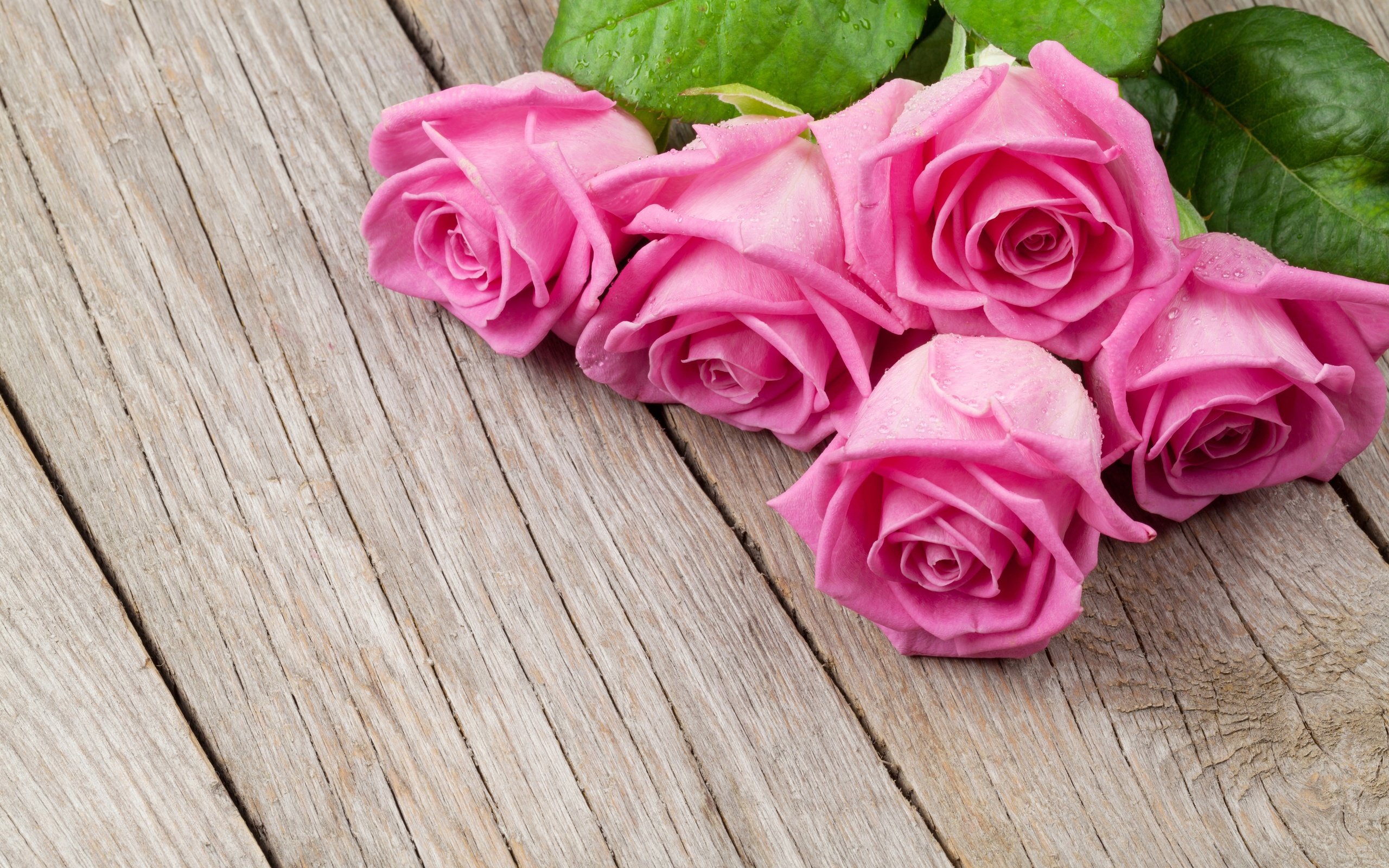 Обои цветы, бутоны, розы, лепестки, доски, букет, flowers, buds, roses, petals, board, bouquet разрешение 3840x2560 Загрузить