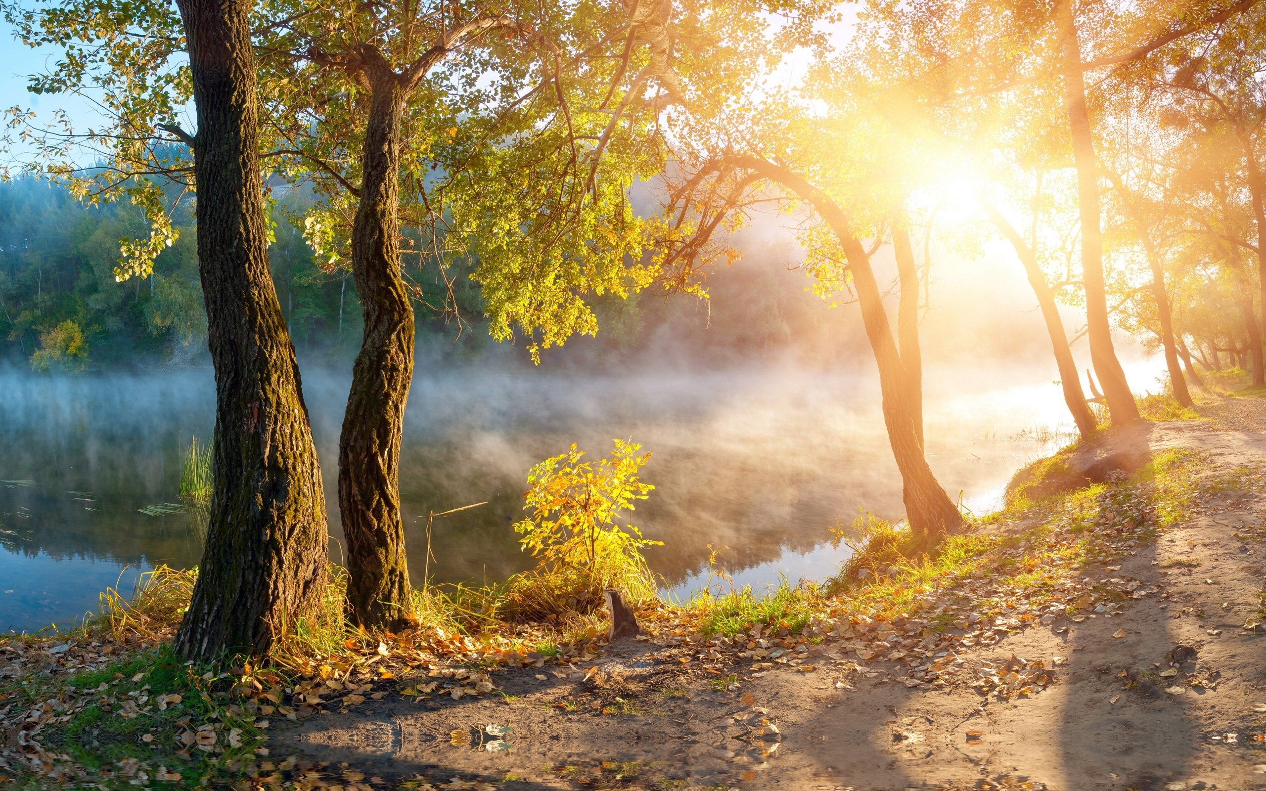 Обои вода, река, природа, берег, утро, туман, осень, water, river, nature, shore, morning, fog, autumn разрешение 5000x3335 Загрузить