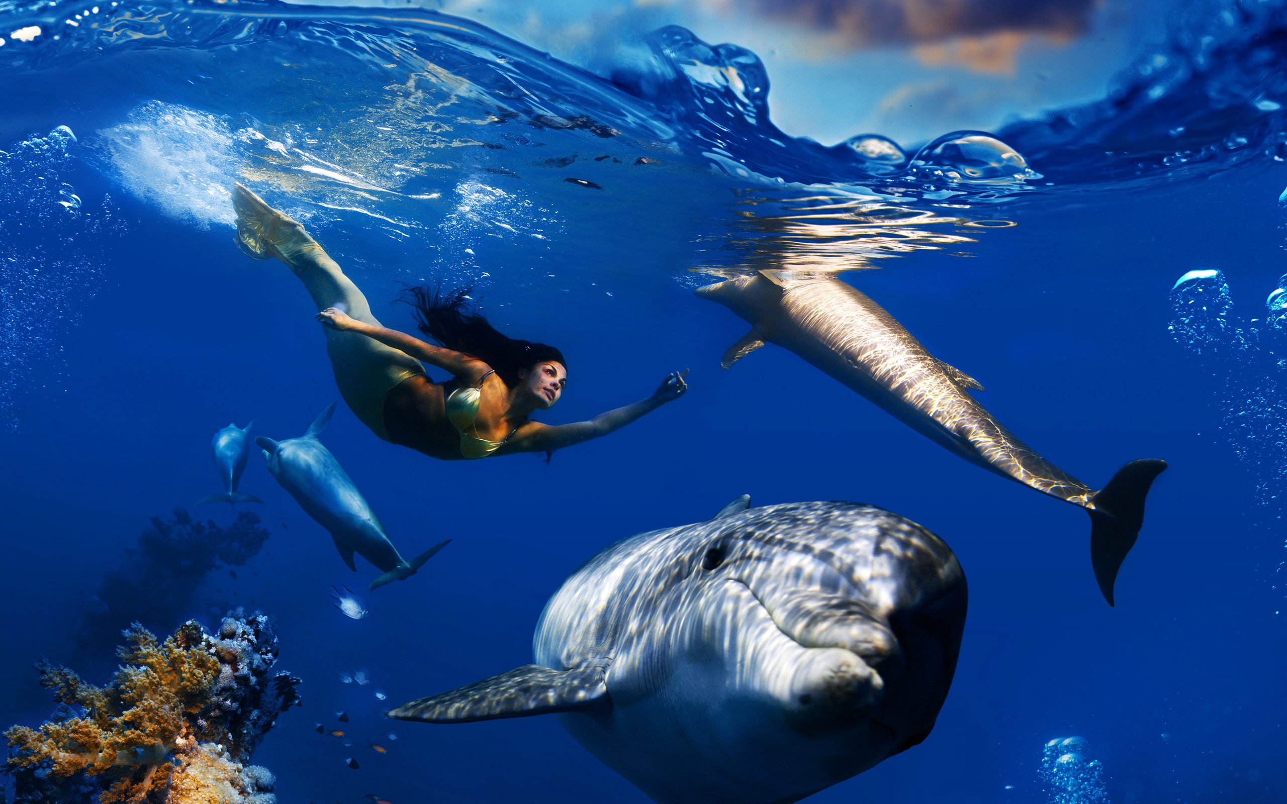 Обои дельфины, небо, подводный мир, облака, русалка, волны, море, плавает, рыбы, под водой, кораллы, пузырьки, dolphins, the sky, underwater world, clouds, mermaid, wave, sea, floats, fish, under water, corals, bubbles разрешение 3000x3000 Загрузить