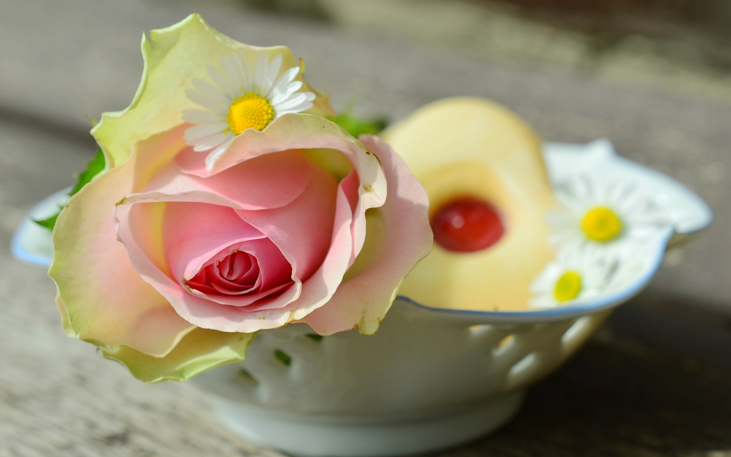 Обои цветы, натюрморт, цветок, роза, ромашки, розовый, ваза, печенье, выпечка, flowers, still life, flower, rose, chamomile, pink, vase, cookies, cakes разрешение 3593x2525 Загрузить