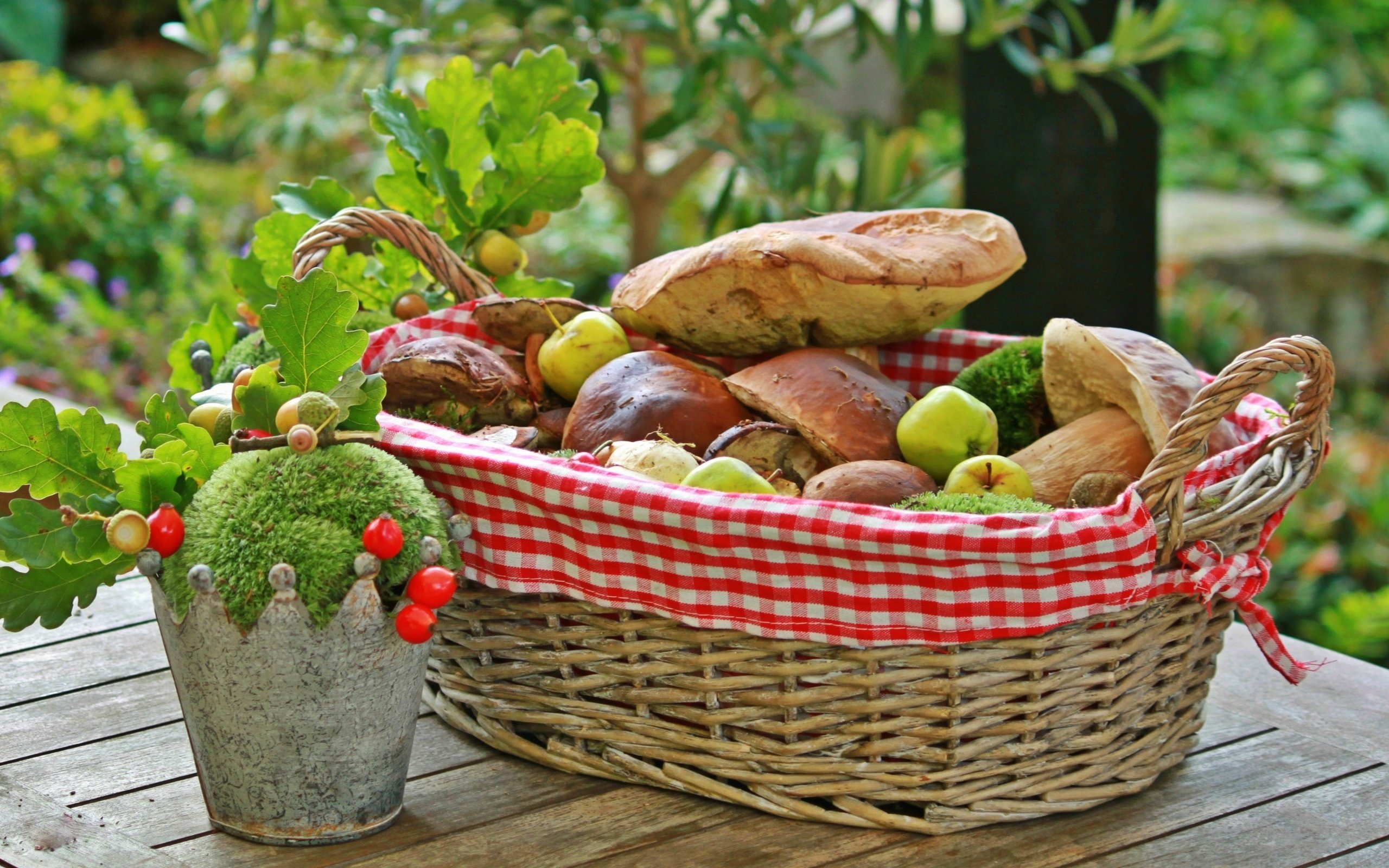 Обои яблоки, грибы, корзинка, боровики, apples, mushrooms, basket разрешение 4000x2276 Загрузить