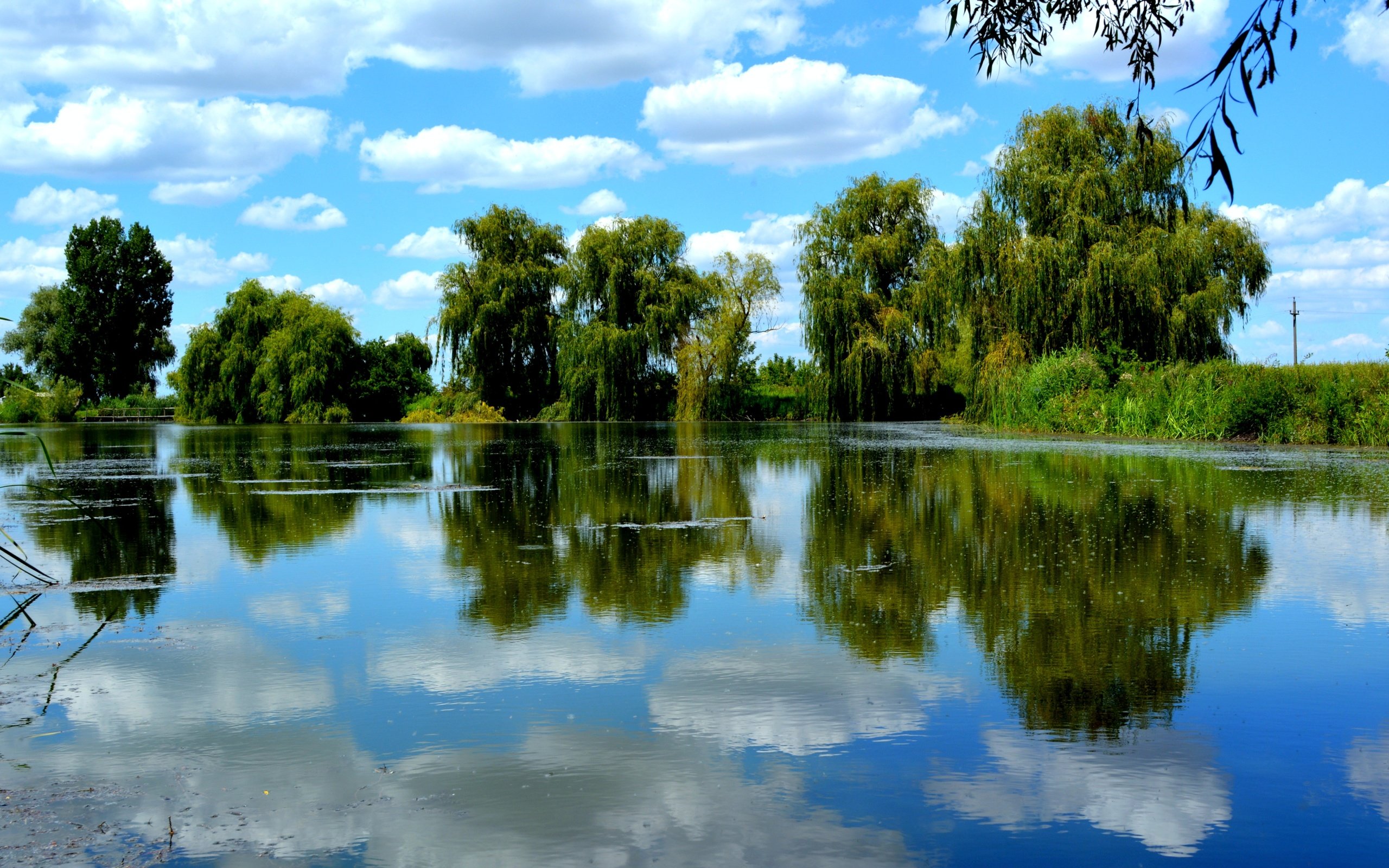 Обои небо, облака, деревья, озеро, отражение, пейзаж, лето, ивы, the sky, clouds, trees, lake, reflection, landscape, summer, willow разрешение 6000x4000 Загрузить