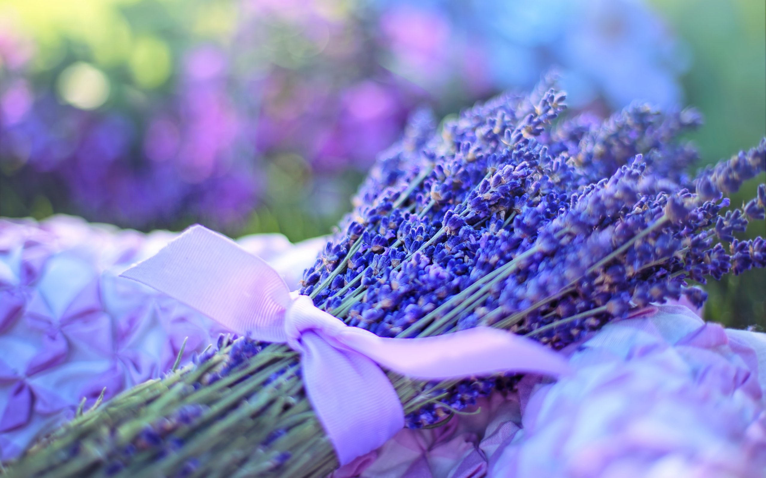 Обои цветы, лаванда, букет, лента, букет лаванды, flowers, lavender, bouquet, tape, bouquet of lavender разрешение 3840x2400 Загрузить