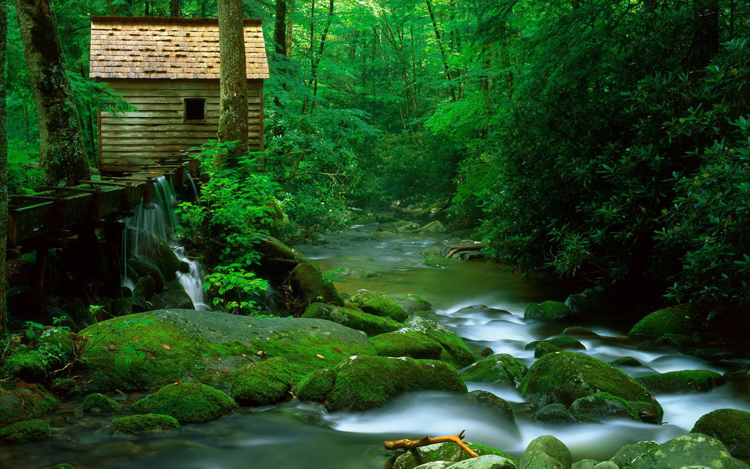 Обои деревья, горная речка, река, камни, лес, скала, дом, мох, плотина, trees, mountain river, river, stones, forest, rock, house, moss, dam разрешение 3840x2400 Загрузить