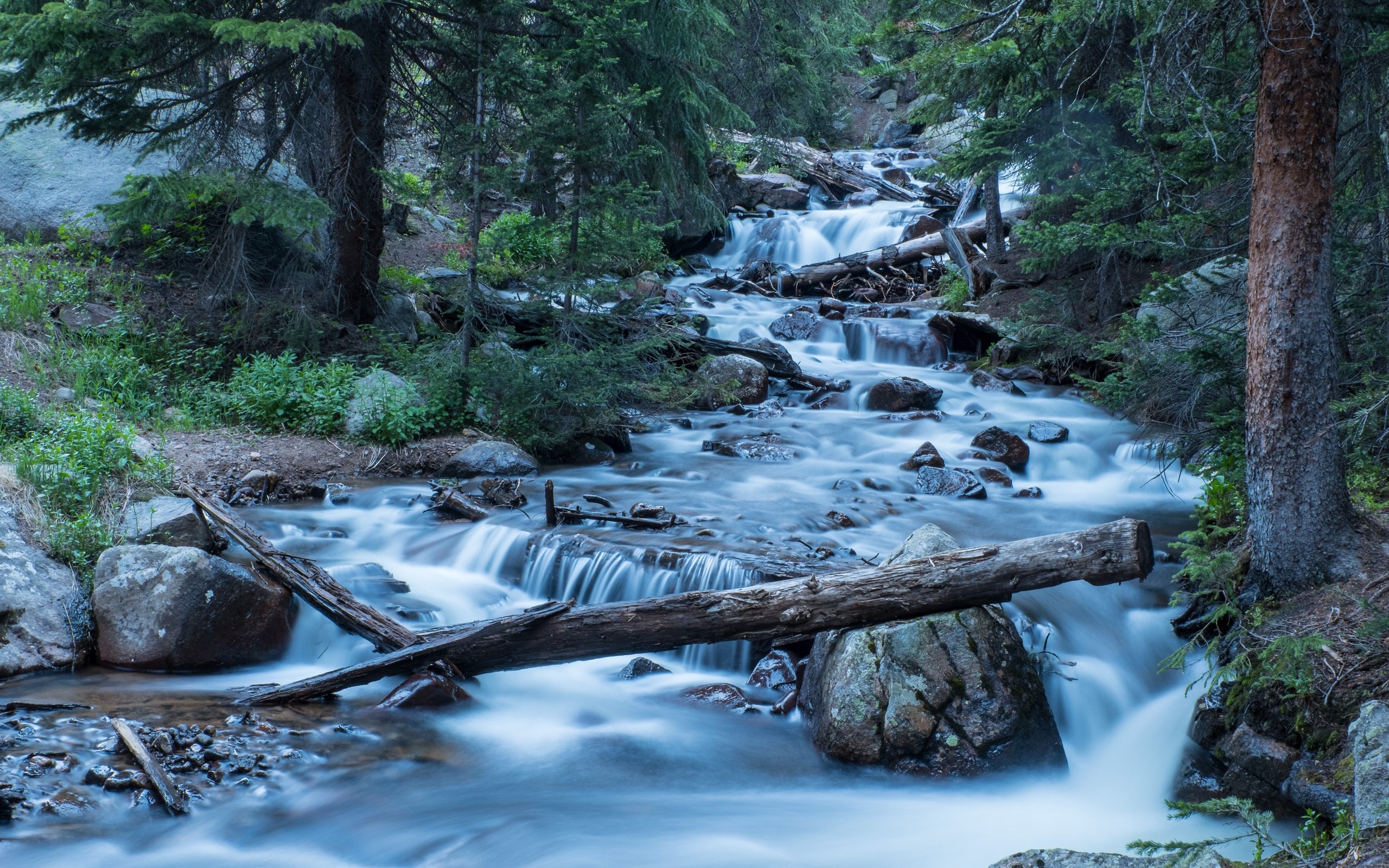 Обои деревья, река, лес, колорадо, каскад, trees, river, forest, colorado, cascade разрешение 5518x3679 Загрузить