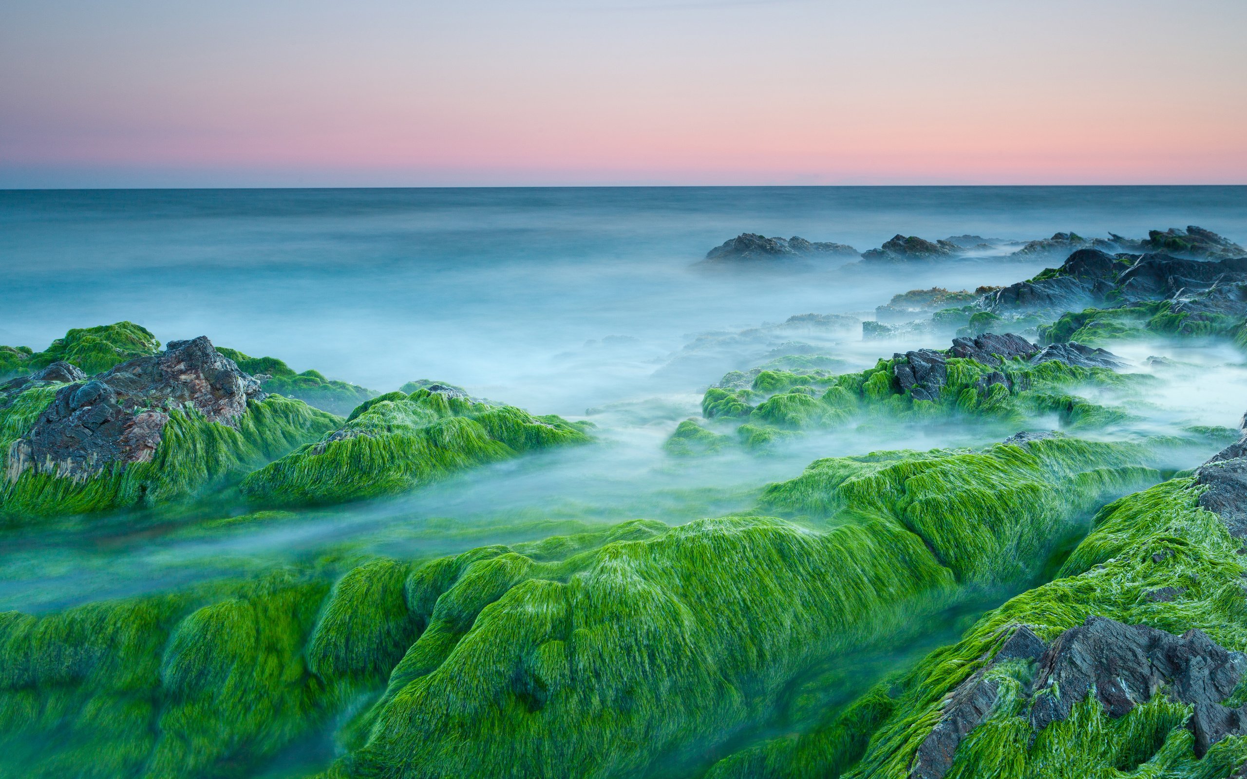 Обои камни, закат, море, побережье, водоросли, stones, sunset, sea, coast, algae разрешение 3840x2560 Загрузить