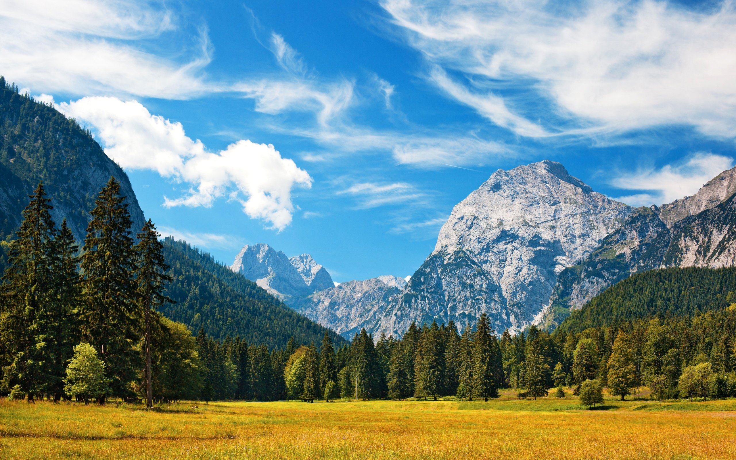 Обои небо, трава, облака, деревья, горы, поле, баварские альпы, the sky, grass, clouds, trees, mountains, field, the bavarian alps разрешение 4100x2733 Загрузить