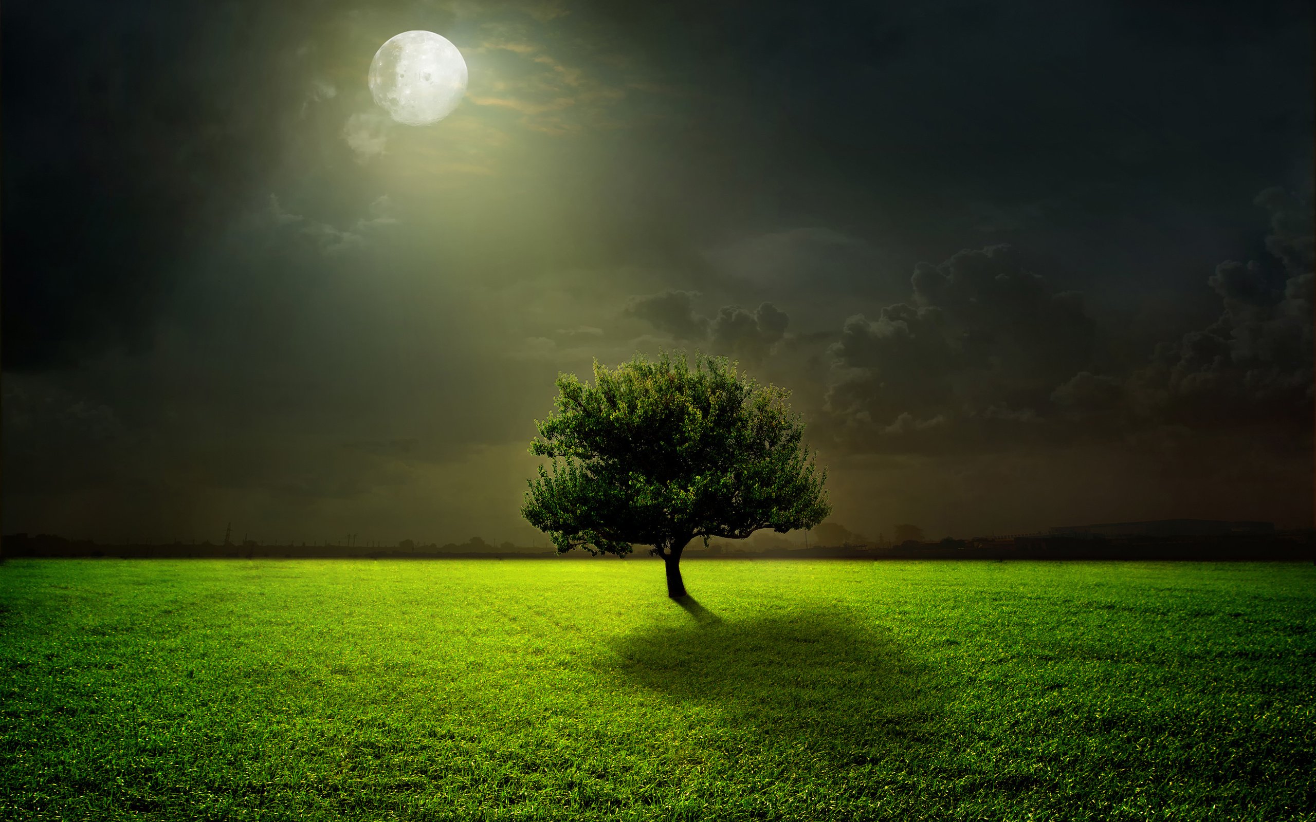 Обои свет, трава, дерево, пейзаж, поле, луна, полнолуние, light, grass, tree, landscape, field, the moon, the full moon разрешение 4000x3757 Загрузить
