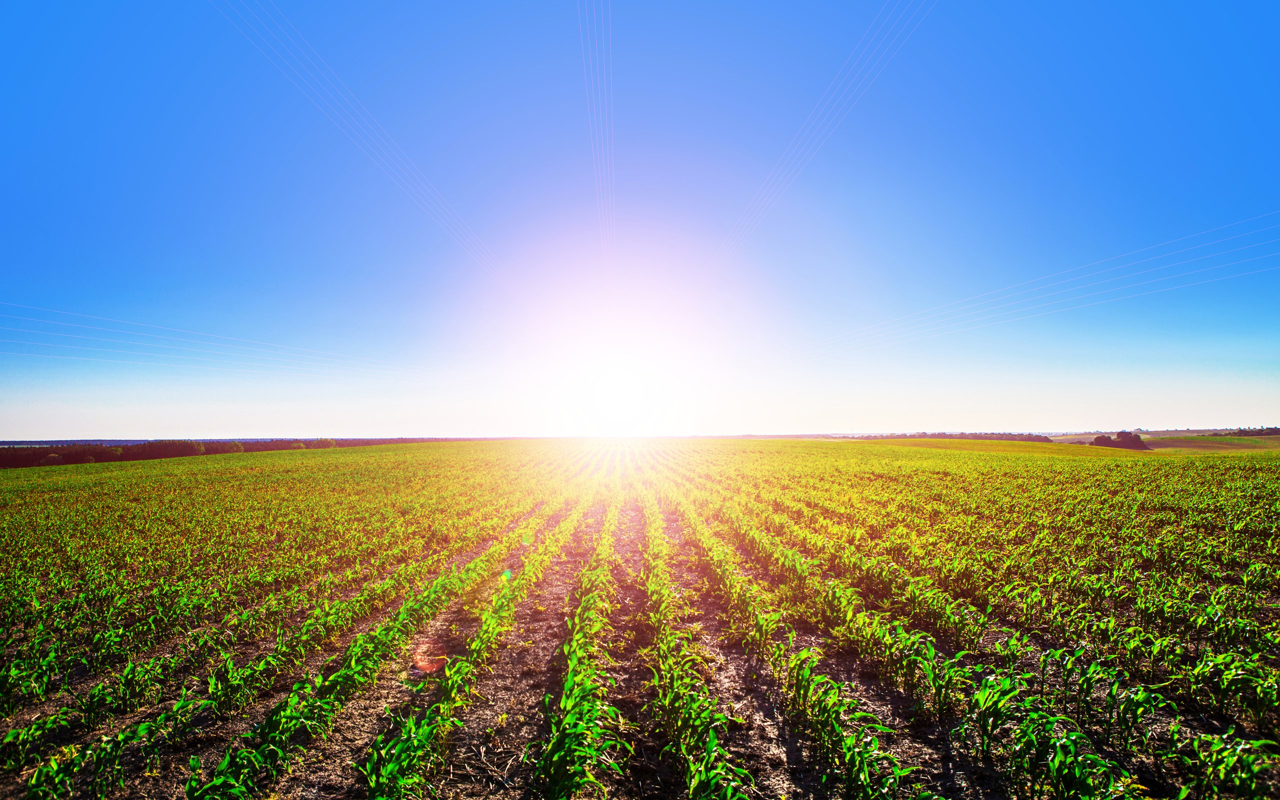 Обои небо, природа, пейзаж, поле, горизонт, солнечный день, the sky, nature, landscape, field, horizon, sunny day разрешение 4800x3200 Загрузить