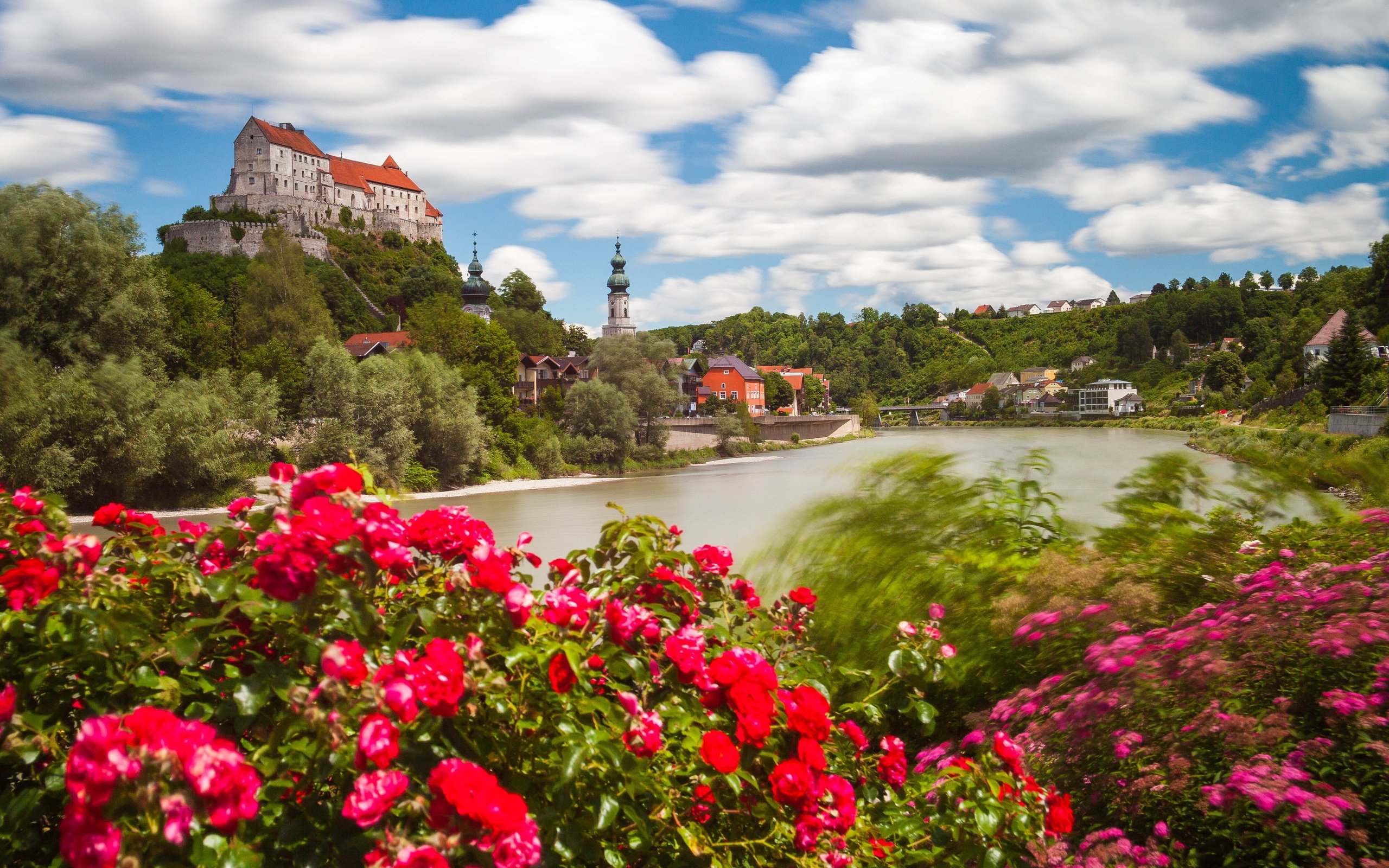 Обои цветы, бургхаузен, река, salzach river, замок бургхаузен, кусты, река зальцах, замок, розы, германия, бавария, баварии, flowers, burghausen, river, burghausen castle, the bushes, the salzach river, castle, roses, germany, bayern, bavaria разрешение 4381x2921 Загрузить