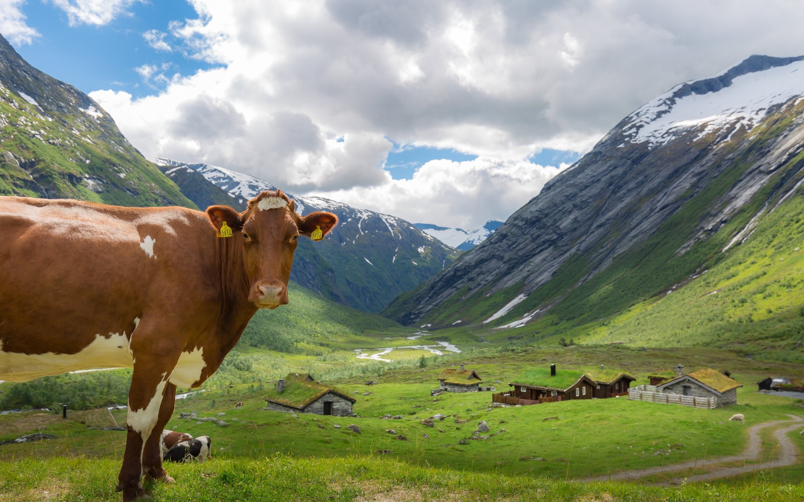 Обои небо, облака, горы, дома, корова, коровы, the sky, clouds, mountains, home, cow, cows разрешение 5760x3840 Загрузить