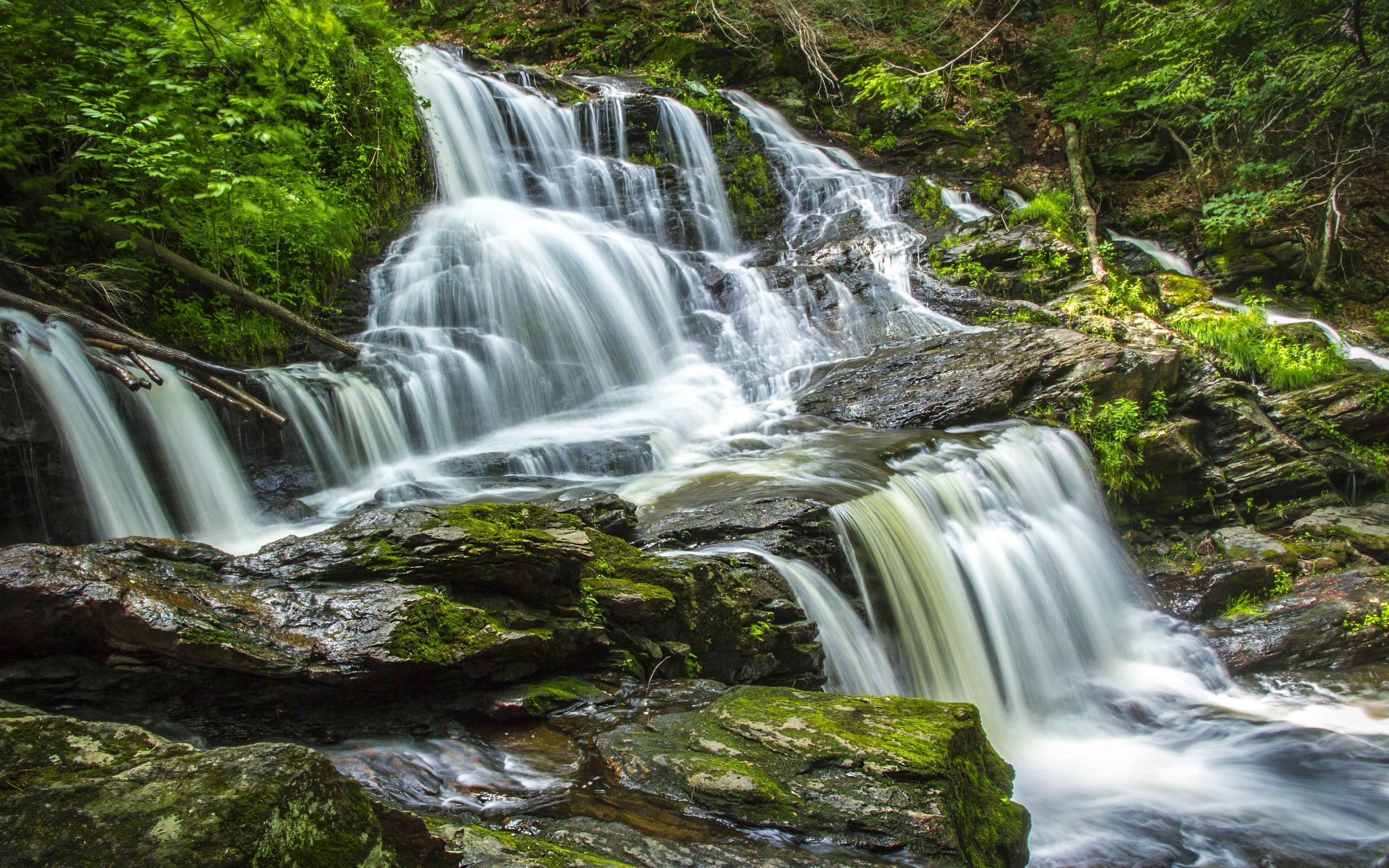 Обои вода, камни, лес, водопад, поток, water, stones, forest, waterfall, stream разрешение 3600x2400 Загрузить