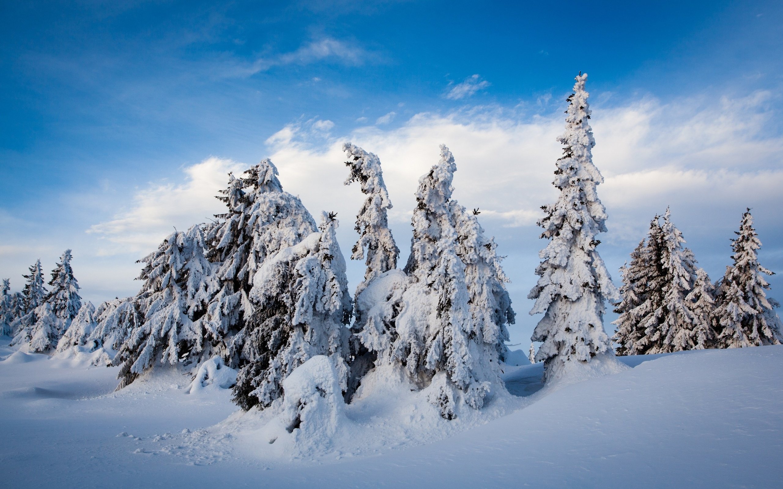 Обои небо, облака, деревья, снег, природа, лес, зима, сугробы, the sky, clouds, trees, snow, nature, forest, winter, the snow разрешение 2880x1800 Загрузить