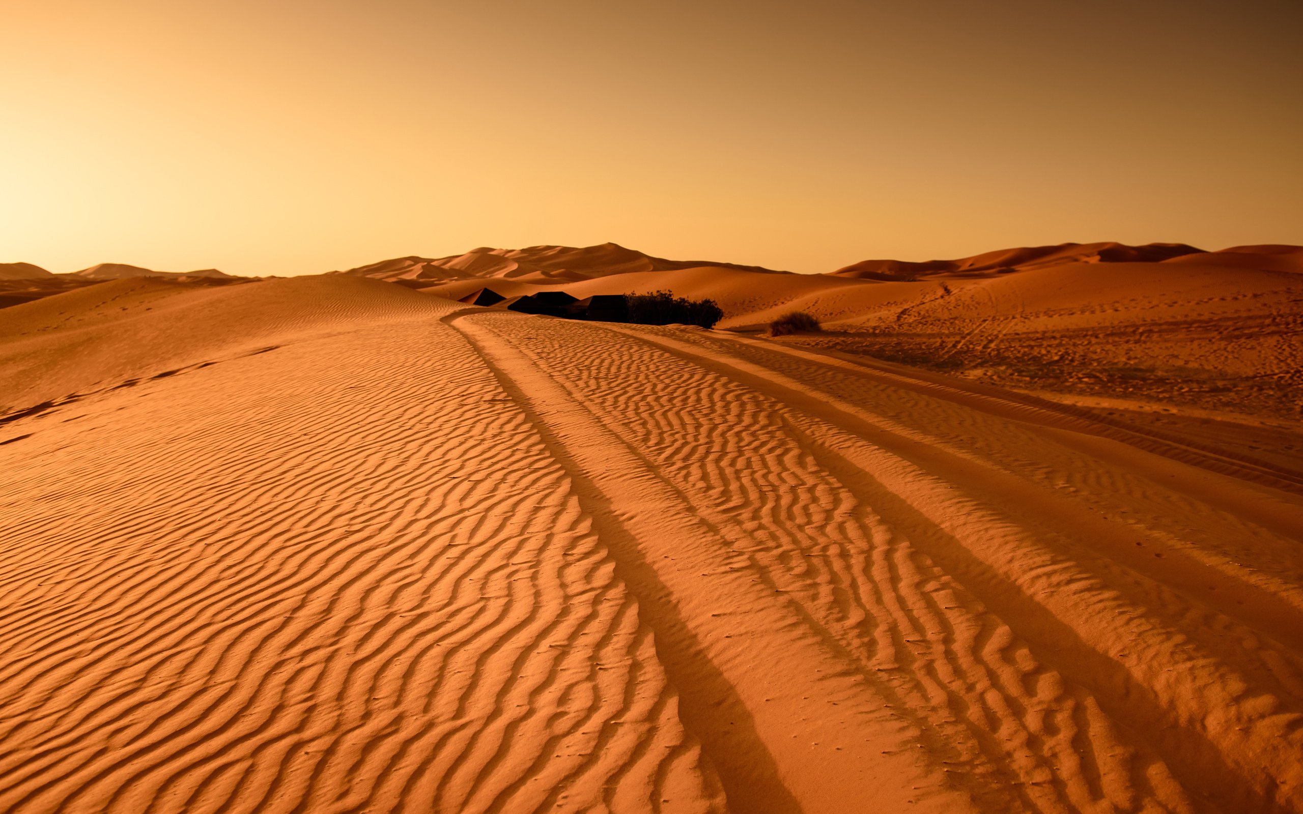 Обои пейзаж, песок, пустыня, следы, дюны, landscape, sand, desert, traces, dunes разрешение 3840x2400 Загрузить