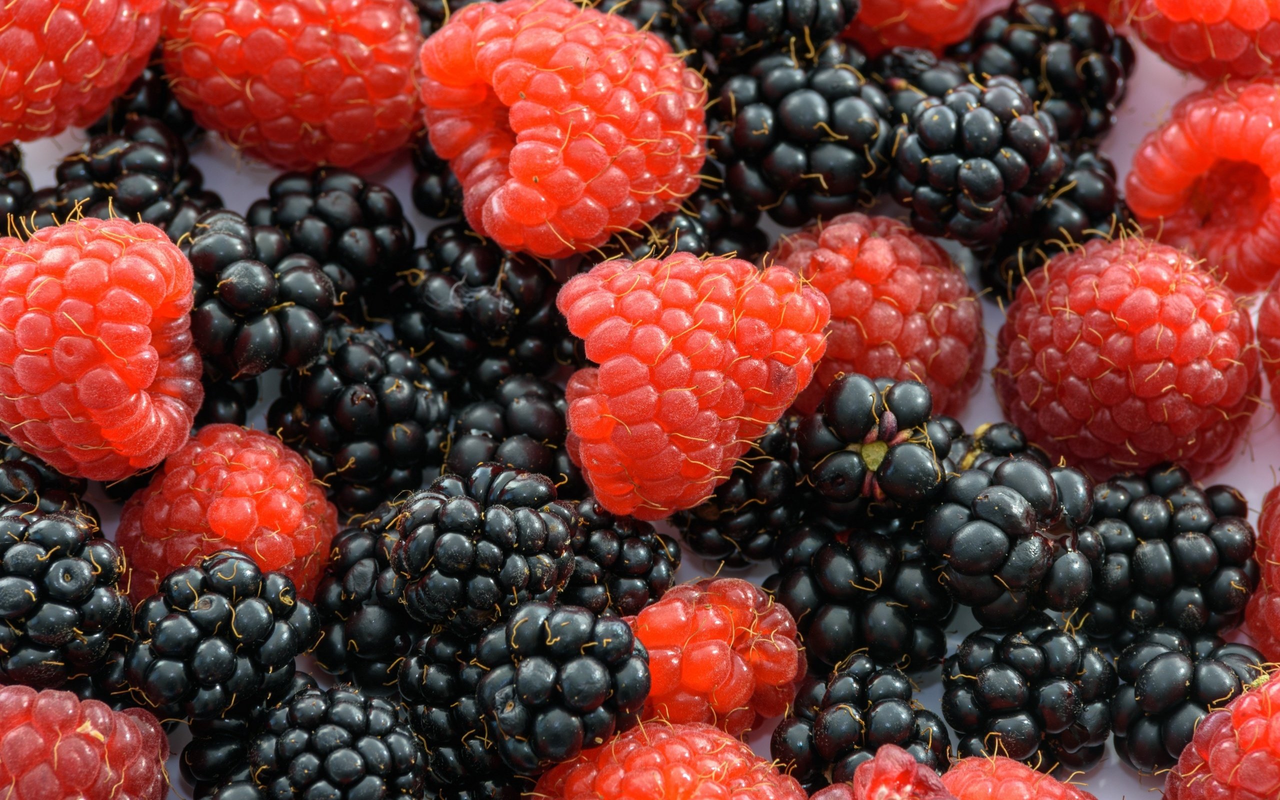 Обои макро, малина, ягоды, ежевика, macro, raspberry, berries, blackberry разрешение 3840x2160 Загрузить