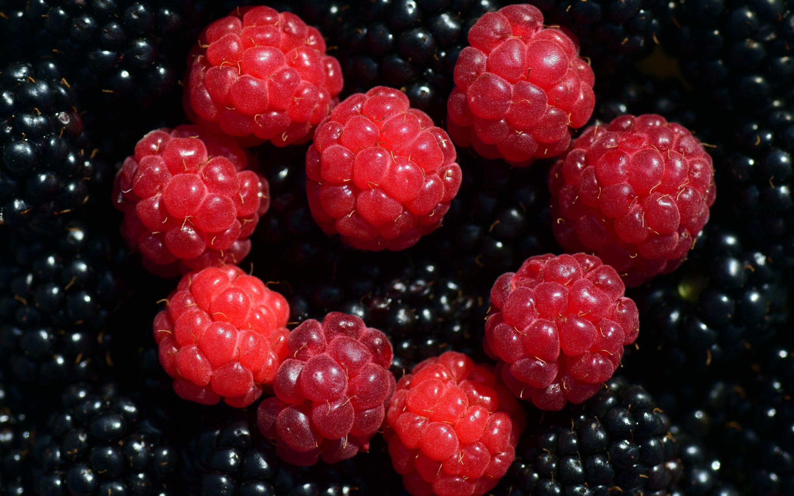 Обои макро, малина, ягоды, ежевика, macro, raspberry, berries, blackberry разрешение 6000x4000 Загрузить