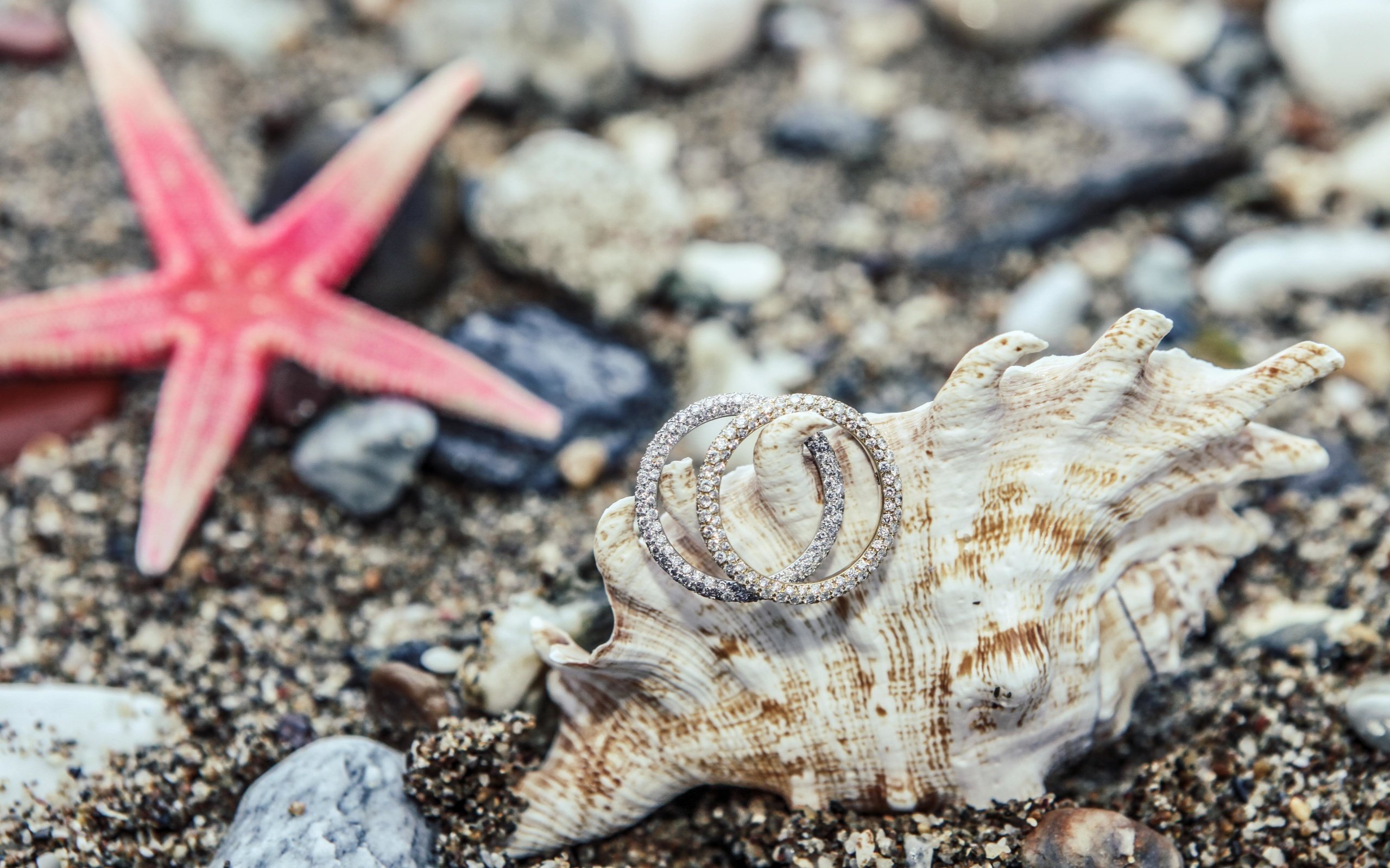 Обои камни, украшения, песок, кольца, ракушка, морская звезда, stones, decoration, sand, ring, shell, starfish разрешение 4990x3327 Загрузить