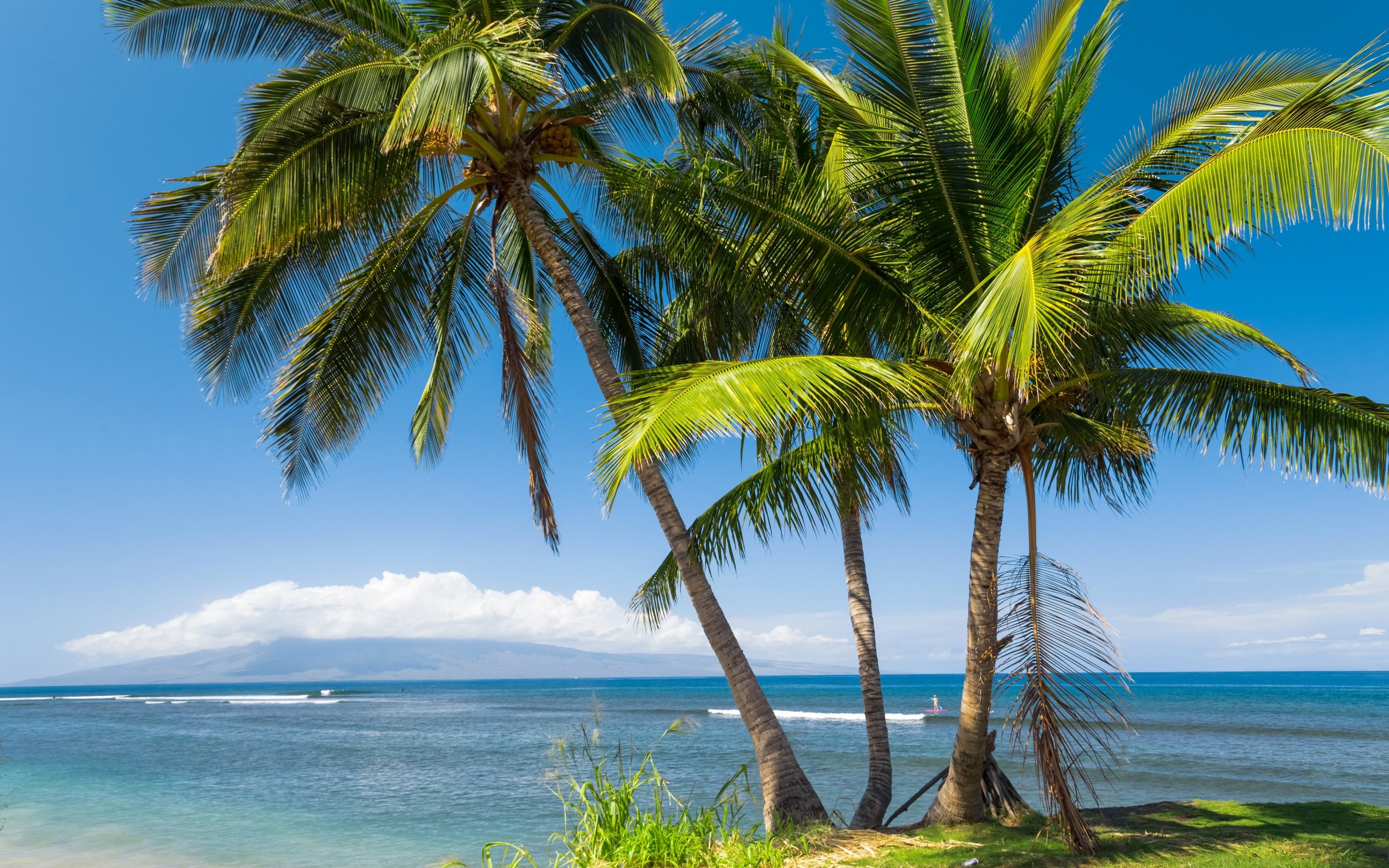 Обои солнце, море, побережье, пальмы, сша, тропики, гавайи, the sun, sea, coast, palm trees, usa, tropics, hawaii разрешение 5760x3840 Загрузить