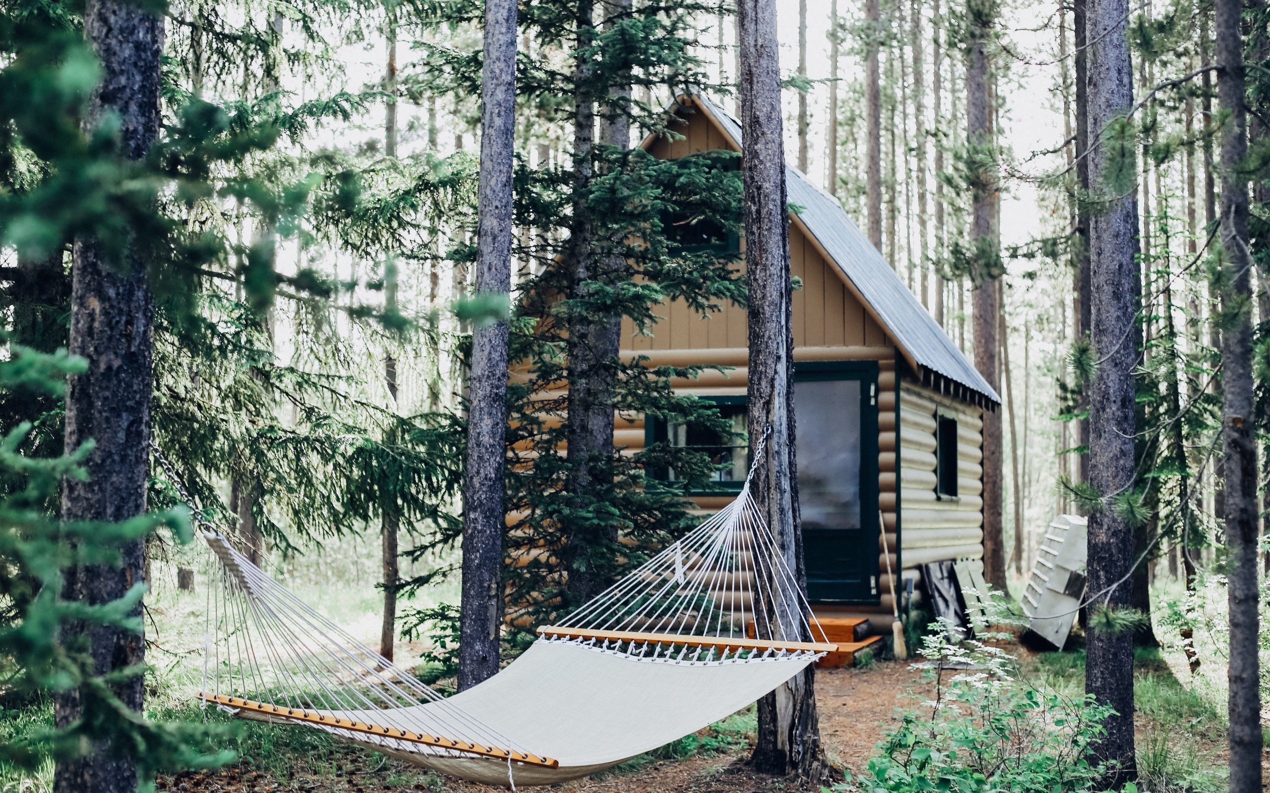 Обои деревья, лес, стволы, дом, гамак, строение, cara fuller, trees, forest, trunks, house, hammock, structure разрешение 5472x3648 Загрузить