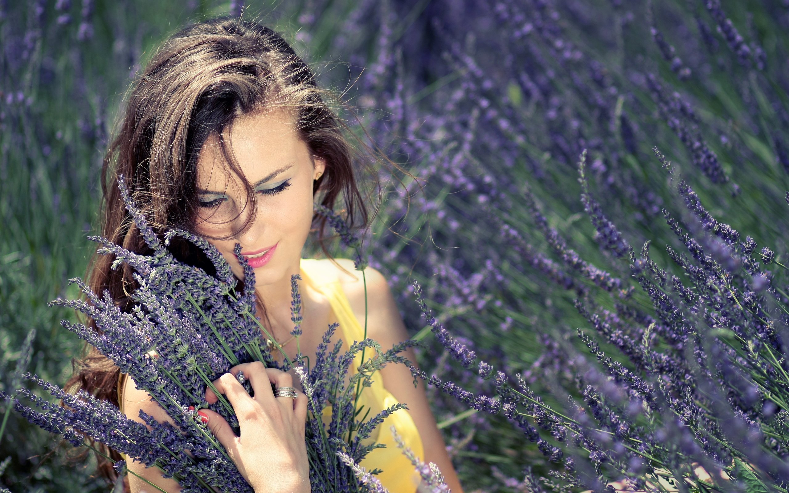 Обои цветы, девушка, лаванда, букет, flowers, girl, lavender, bouquet разрешение 4272x2848 Загрузить