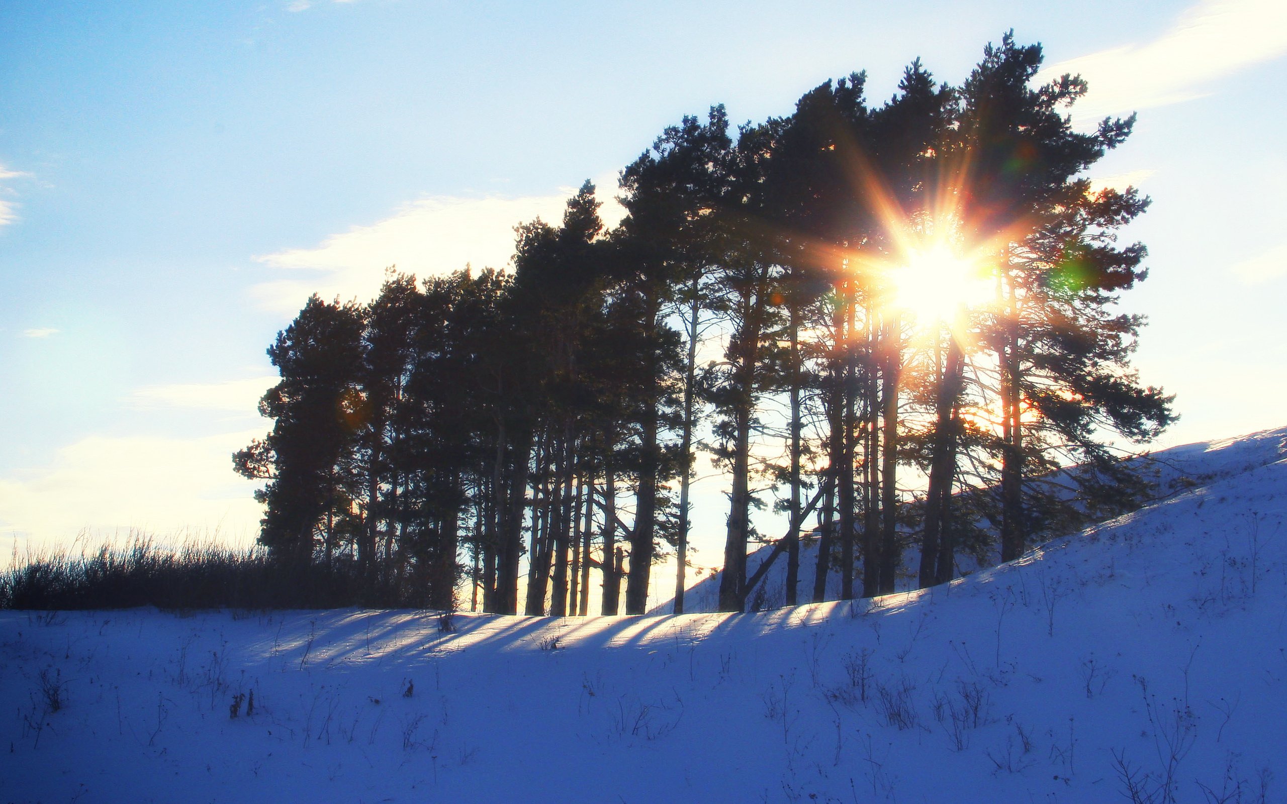 Обои восход, солнце, природа, лес, зима, sunrise, the sun, nature, forest, winter разрешение 3347x1883 Загрузить