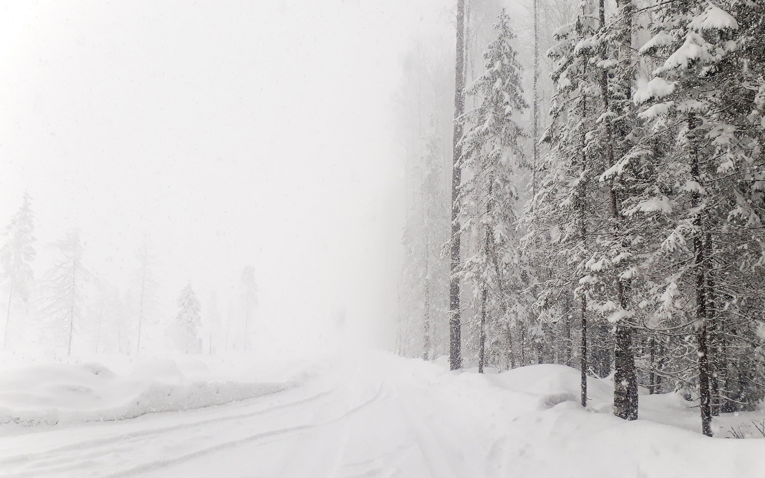 Обои #зима#лес#снег#россия#леснаядорога, #winter#forest#snow#russia#lenaderg разрешение 4128x2322 Загрузить