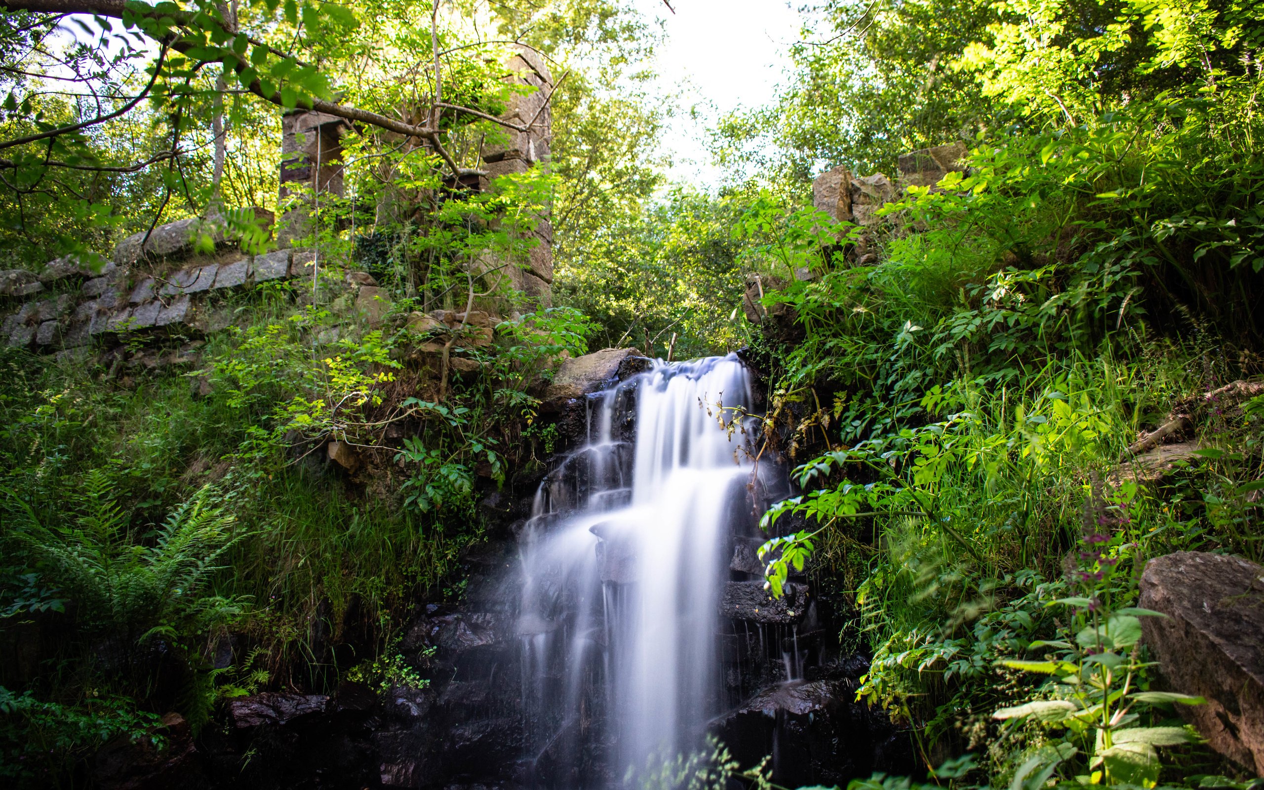 Обои montseny
catalunya, montseny
catalunya разрешение 6000x4000 Загрузить