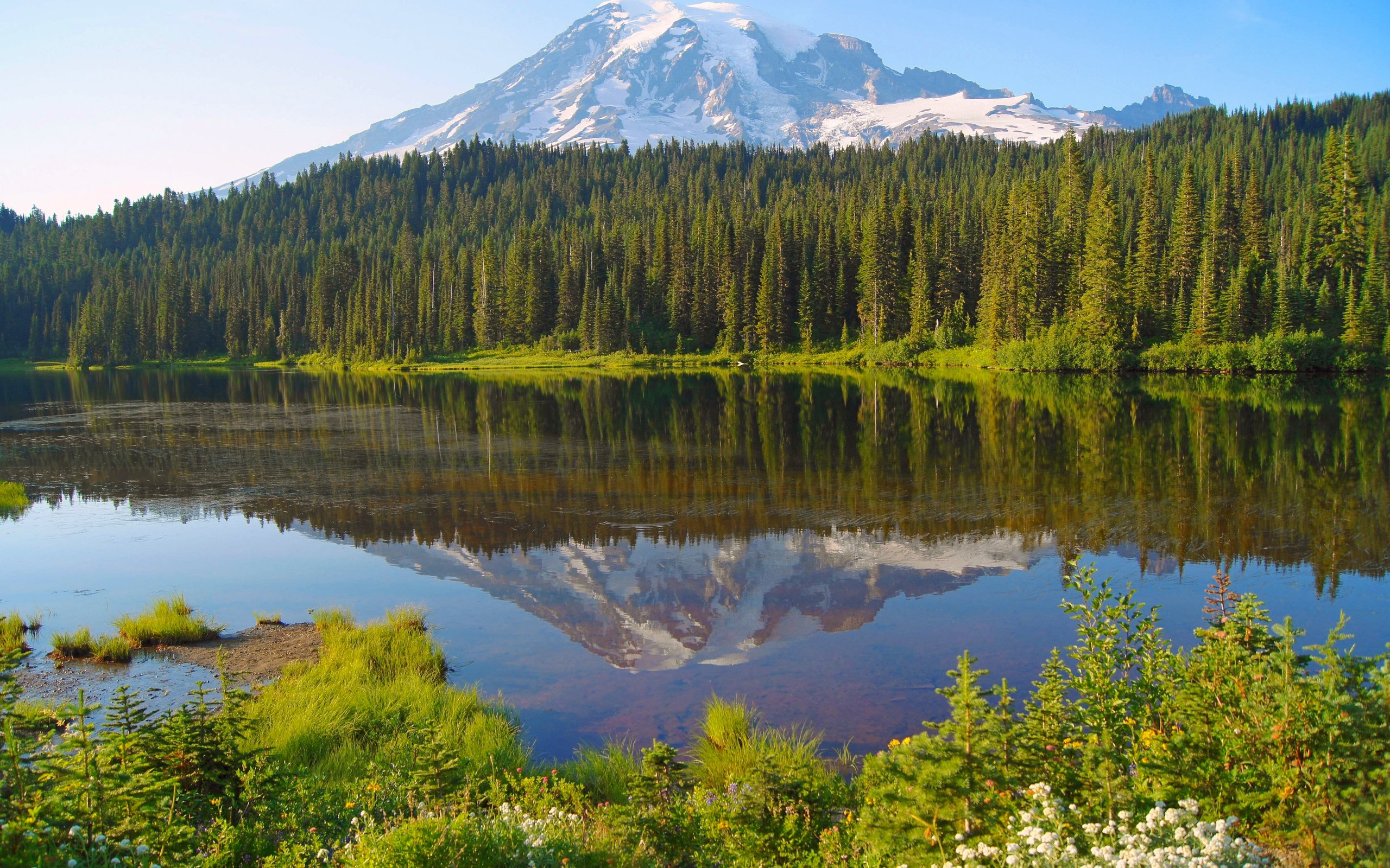 Обои озеро, лес, гора, канада, lake, forest, mountain, canada разрешение 4912x3264 Загрузить