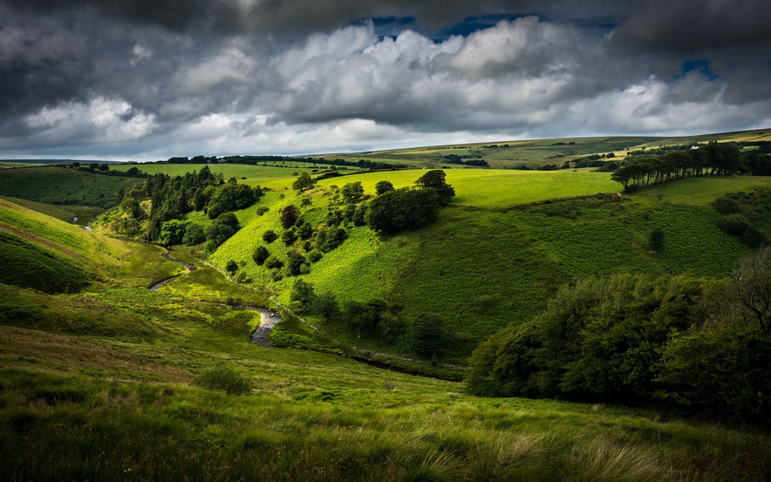 Обои небо, дорога, холмы, кусты, the sky, road, hills, the bushes разрешение 3840x2160 Загрузить