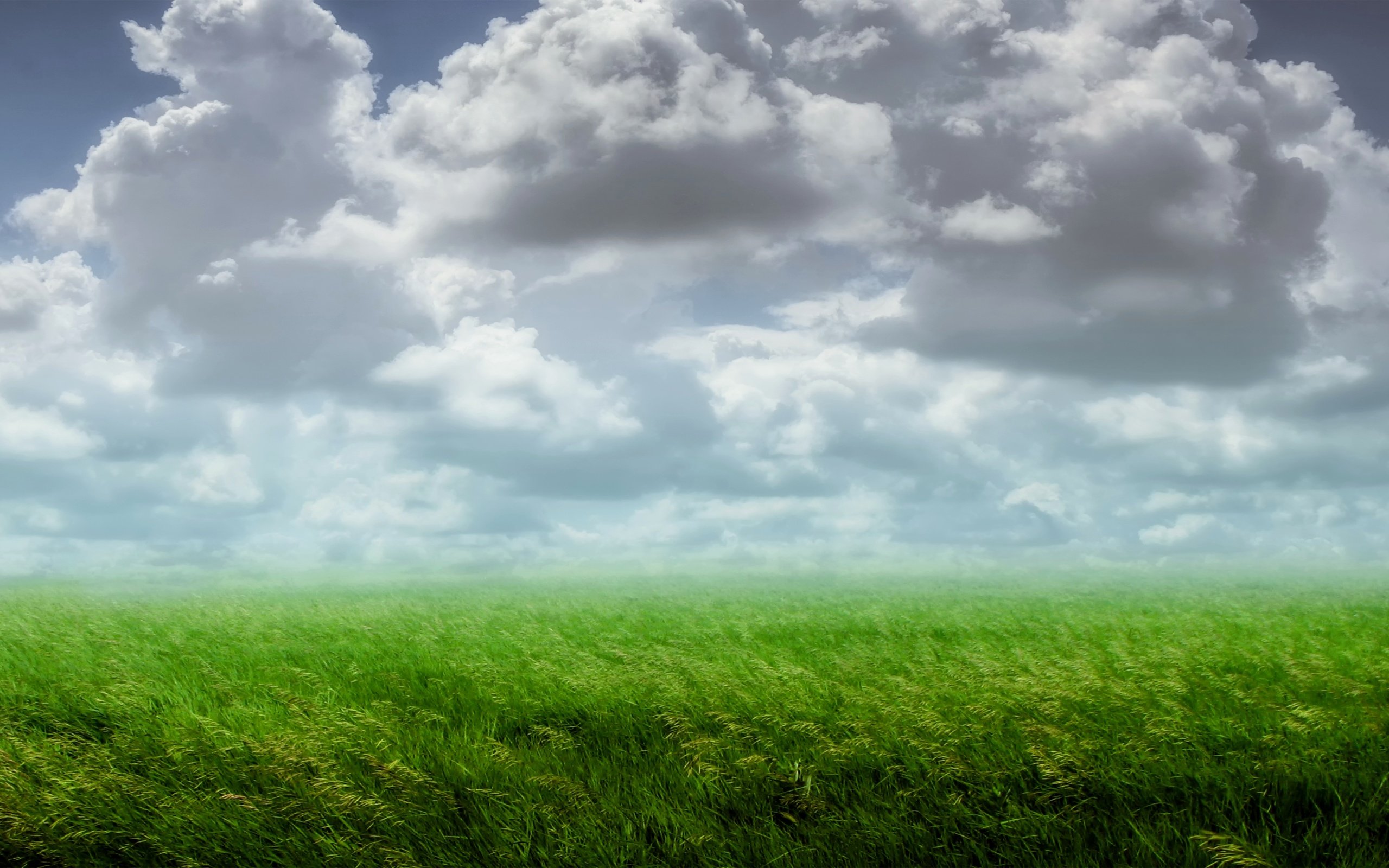 Обои облака, растения, пейзаж, поле, clouds, plants, landscape, field разрешение 3840x2160 Загрузить