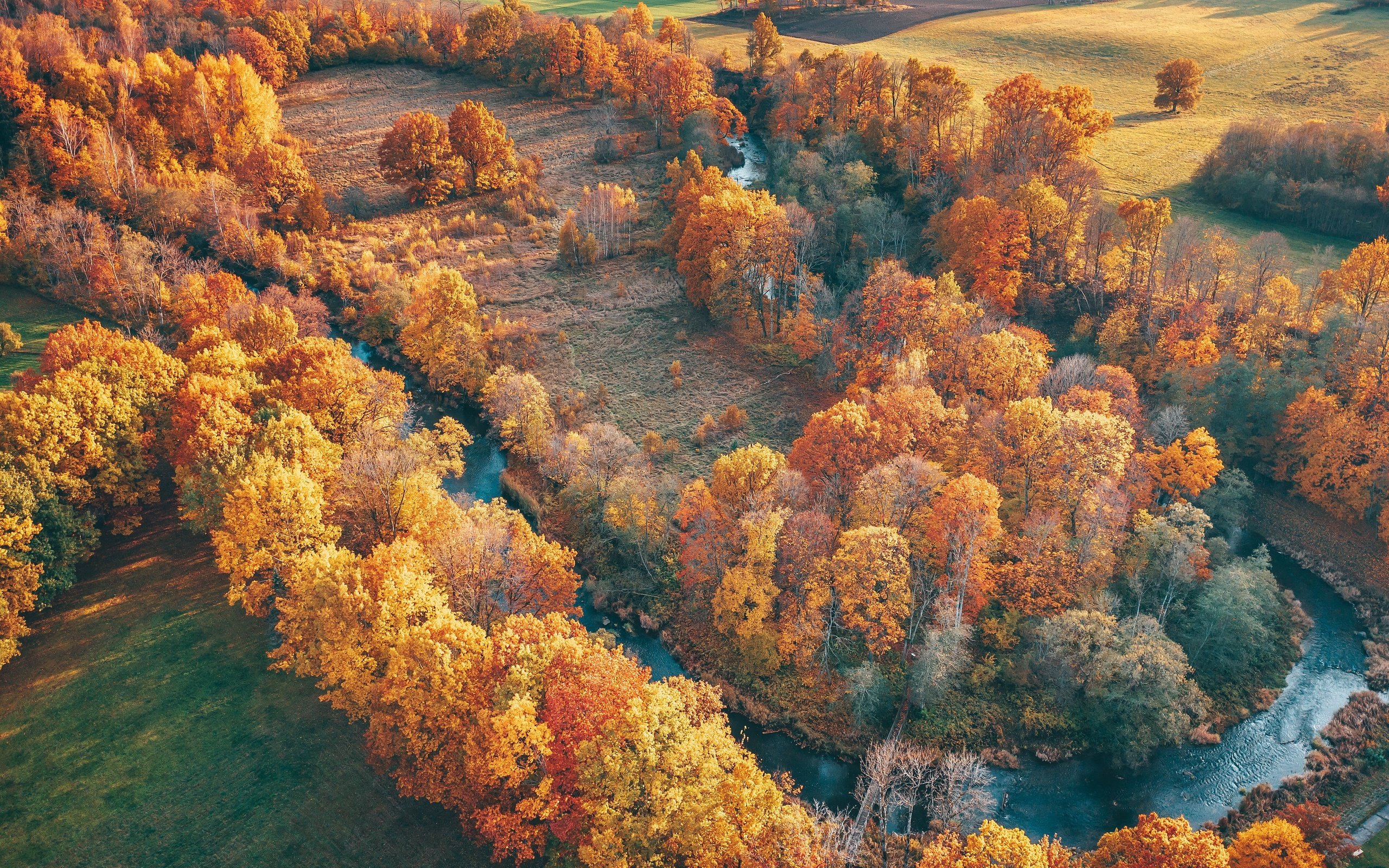 Обои деревья, река, природа, пейзаж, вид сверху, осень, trees, river, nature, landscape, the view from the top, autumn разрешение 3840x2160 Загрузить