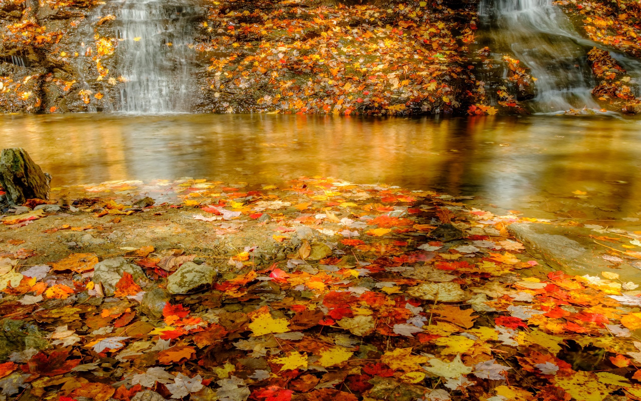 Обои озеро, листья, lake, leaves разрешение 3840x2160 Загрузить