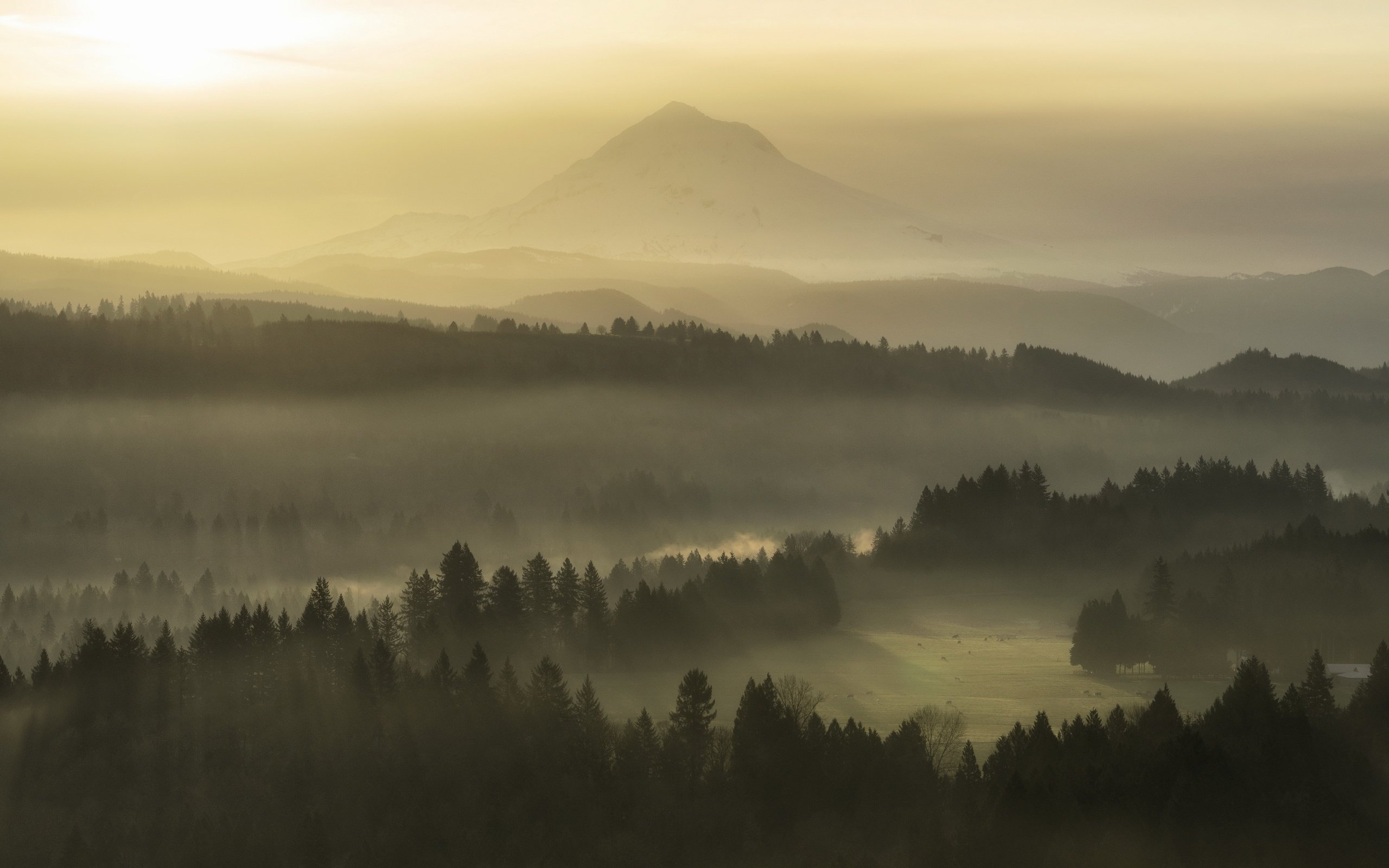 Обои природа, утро, туман, nature, morning, fog разрешение 3840x2160 Загрузить