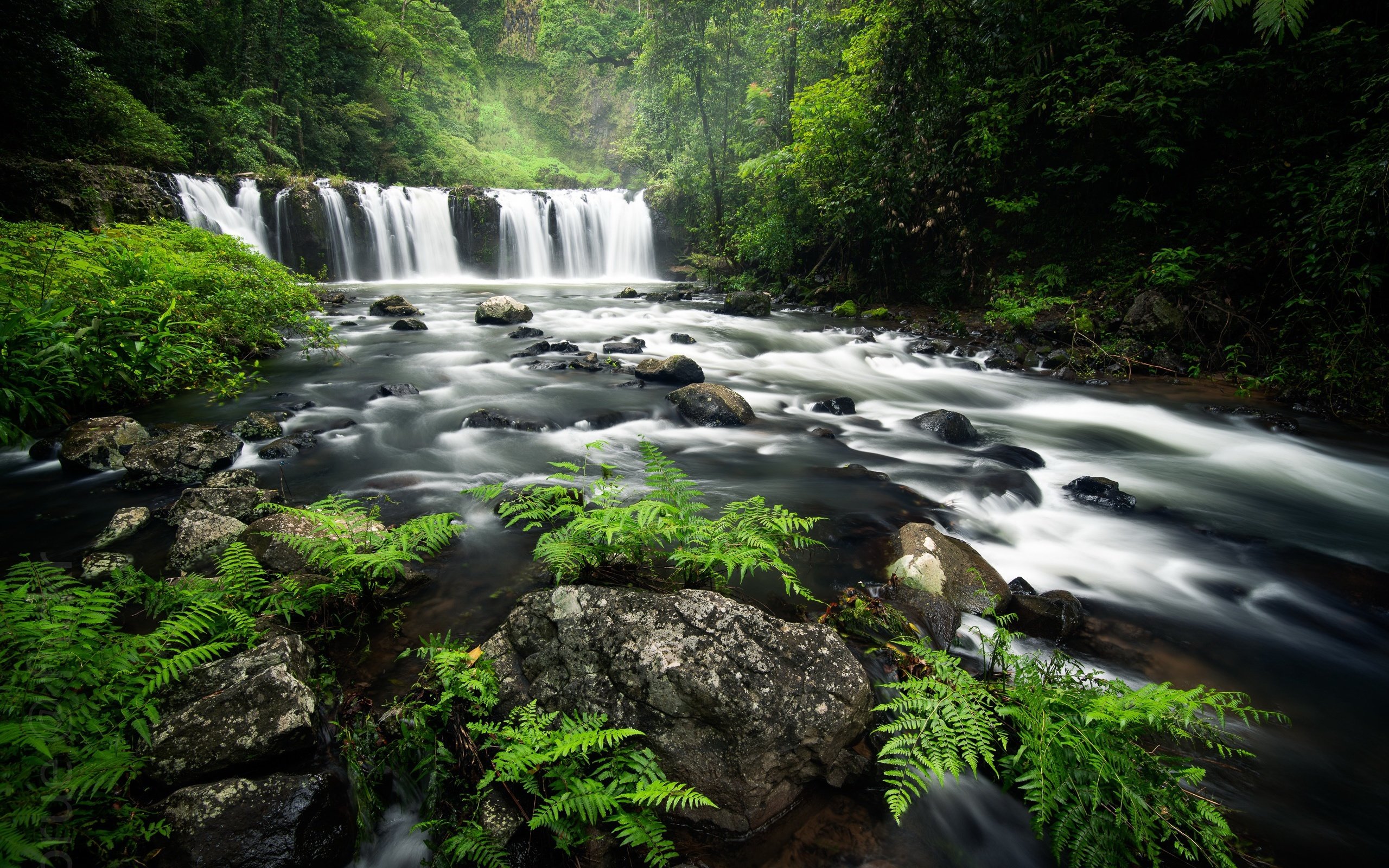 Обои река, лес, водопад, river, forest, waterfall разрешение 2560x1707 Загрузить