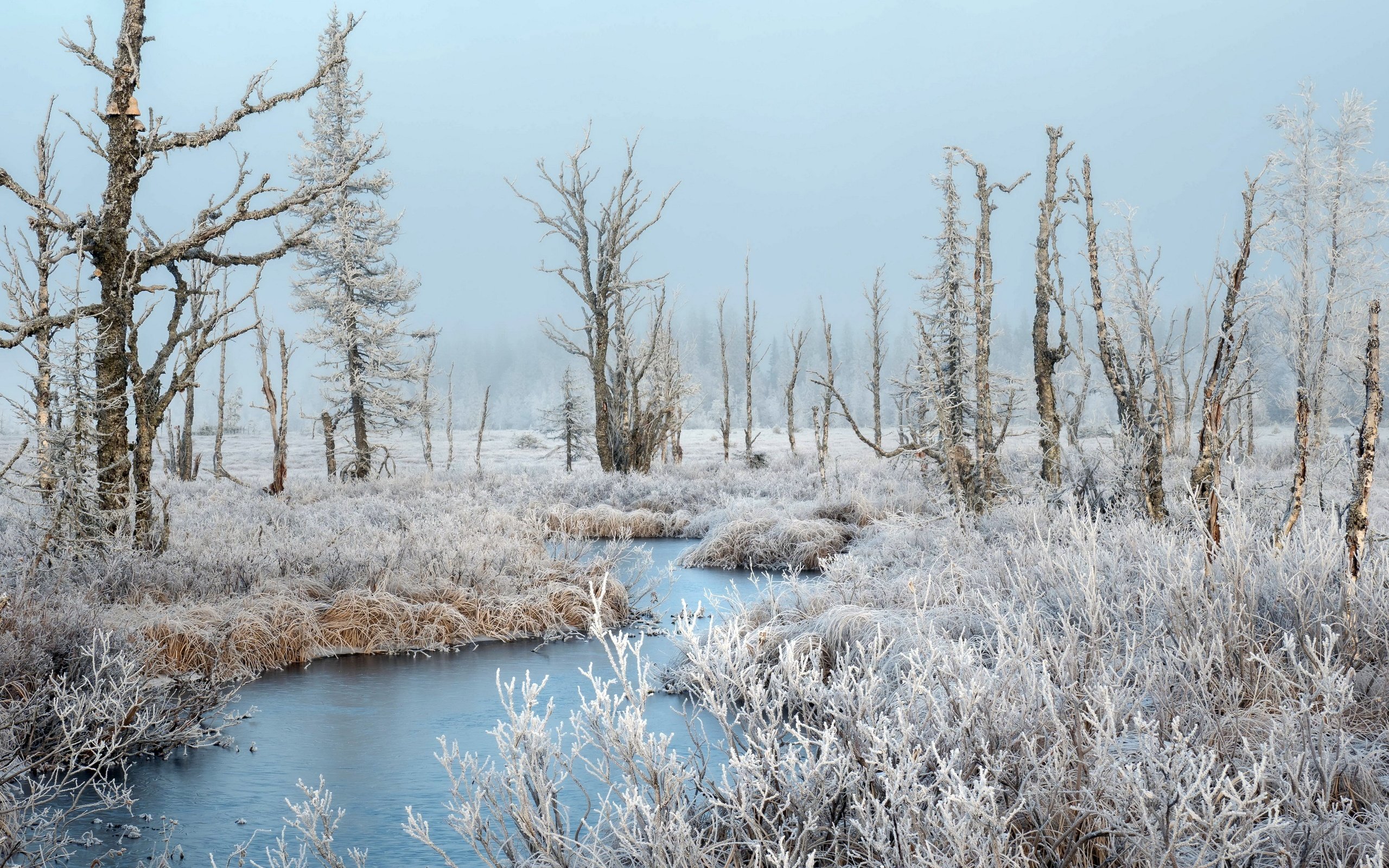 Обои река, зима, иней, river, winter, frost разрешение 3840x2160 Загрузить