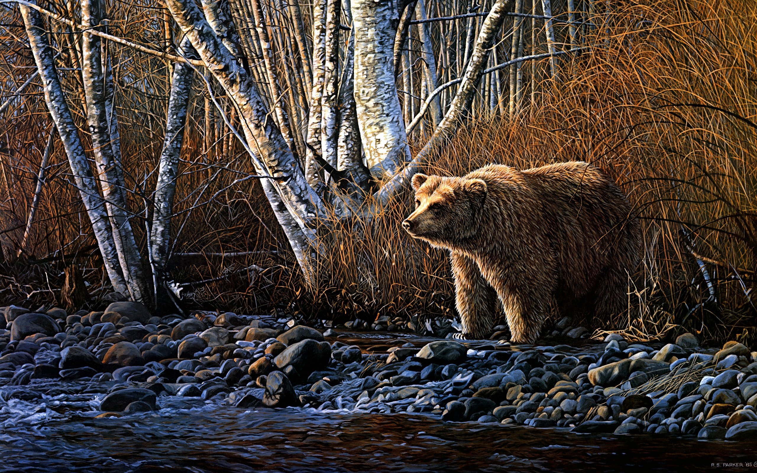 Обои арт, берег, осень, медведь, речка, art, shore, autumn, bear, river разрешение 3776x2268 Загрузить