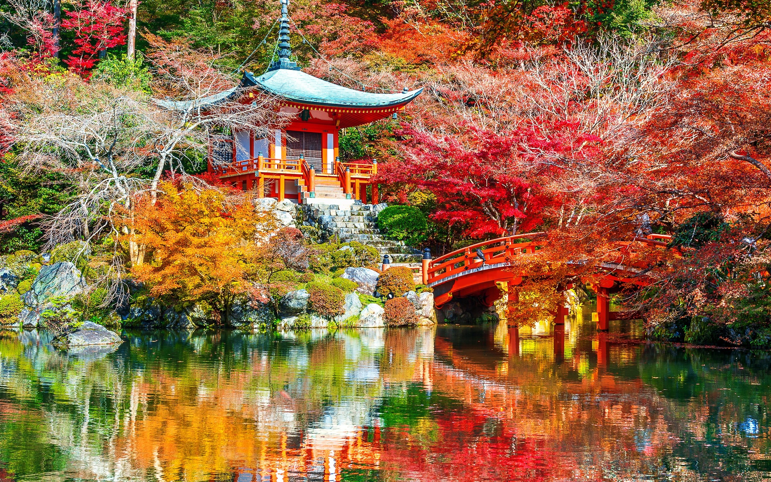 Обои деревья, листья, парк, киото, японии, trees, leaves, park, kyoto, japan разрешение 4928x3280 Загрузить