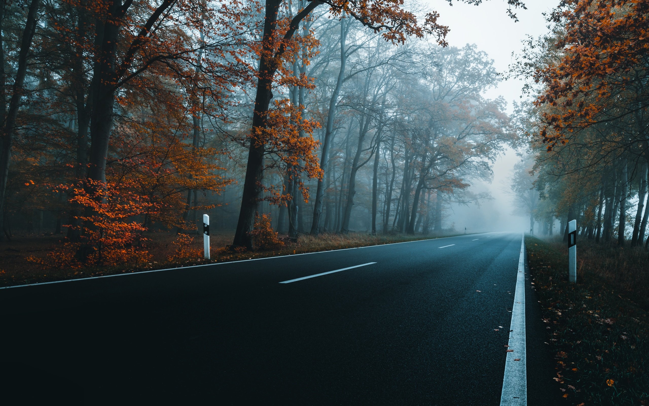 Обои дорога, деревья, осень, шоссе, road, trees, autumn, highway разрешение 6000x3809 Загрузить