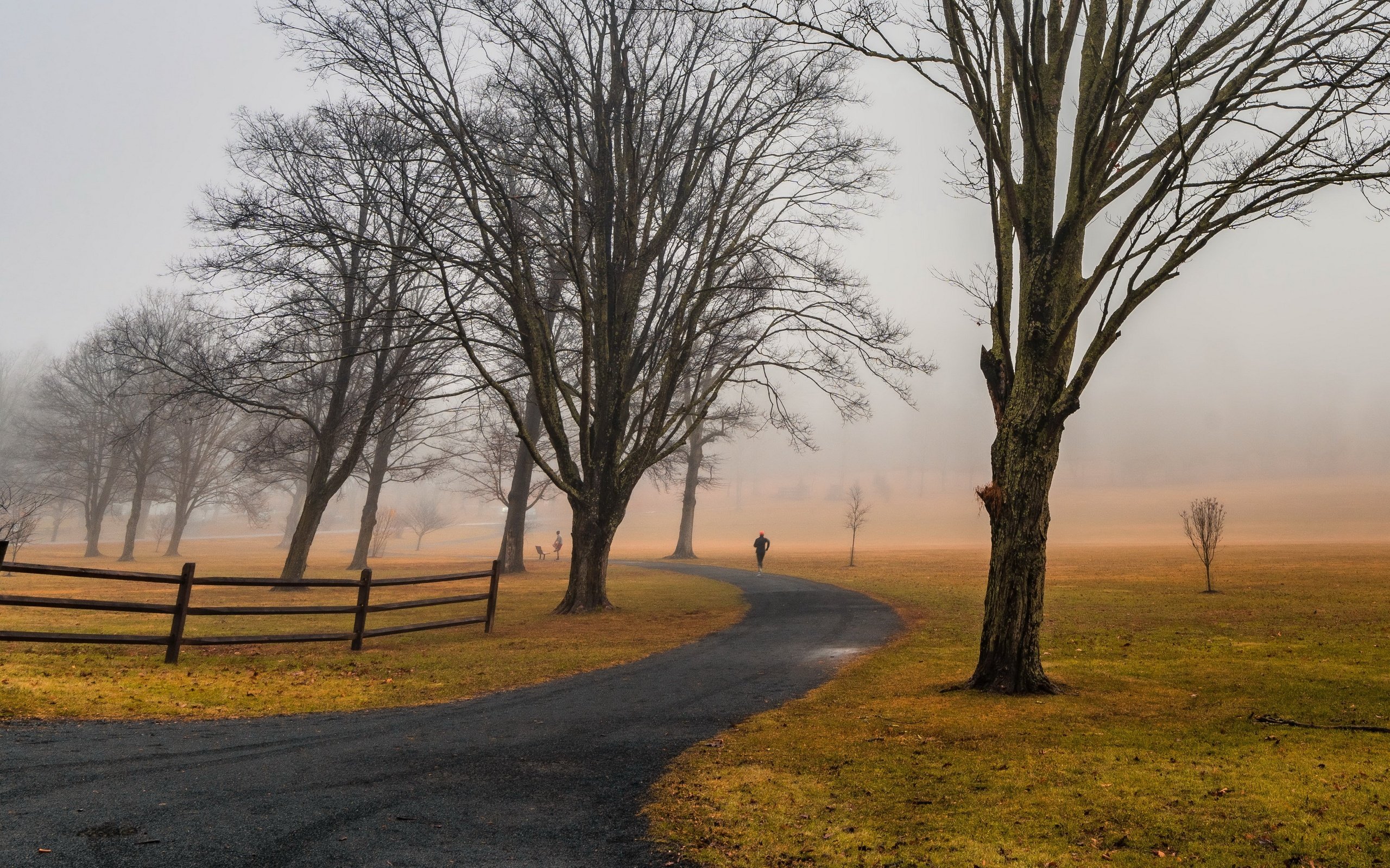 Обои дорога, деревья, природа, road, trees, nature разрешение 3840x2160 Загрузить