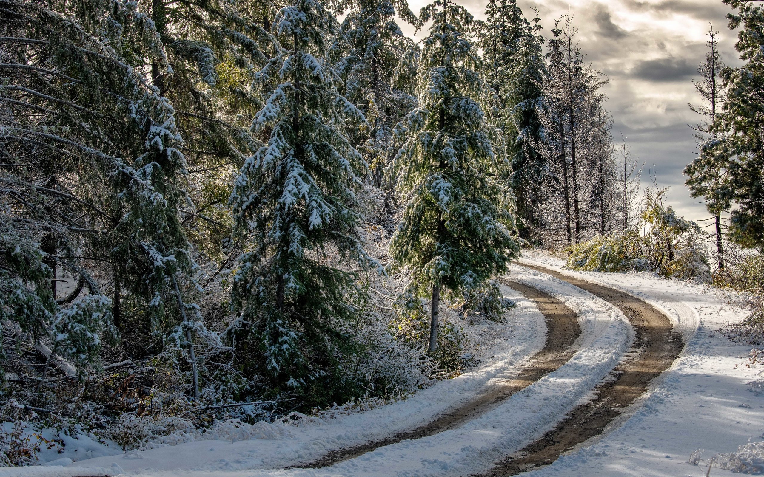 Обои дорога, лес, зима, road, forest, winter разрешение 3840x2160 Загрузить