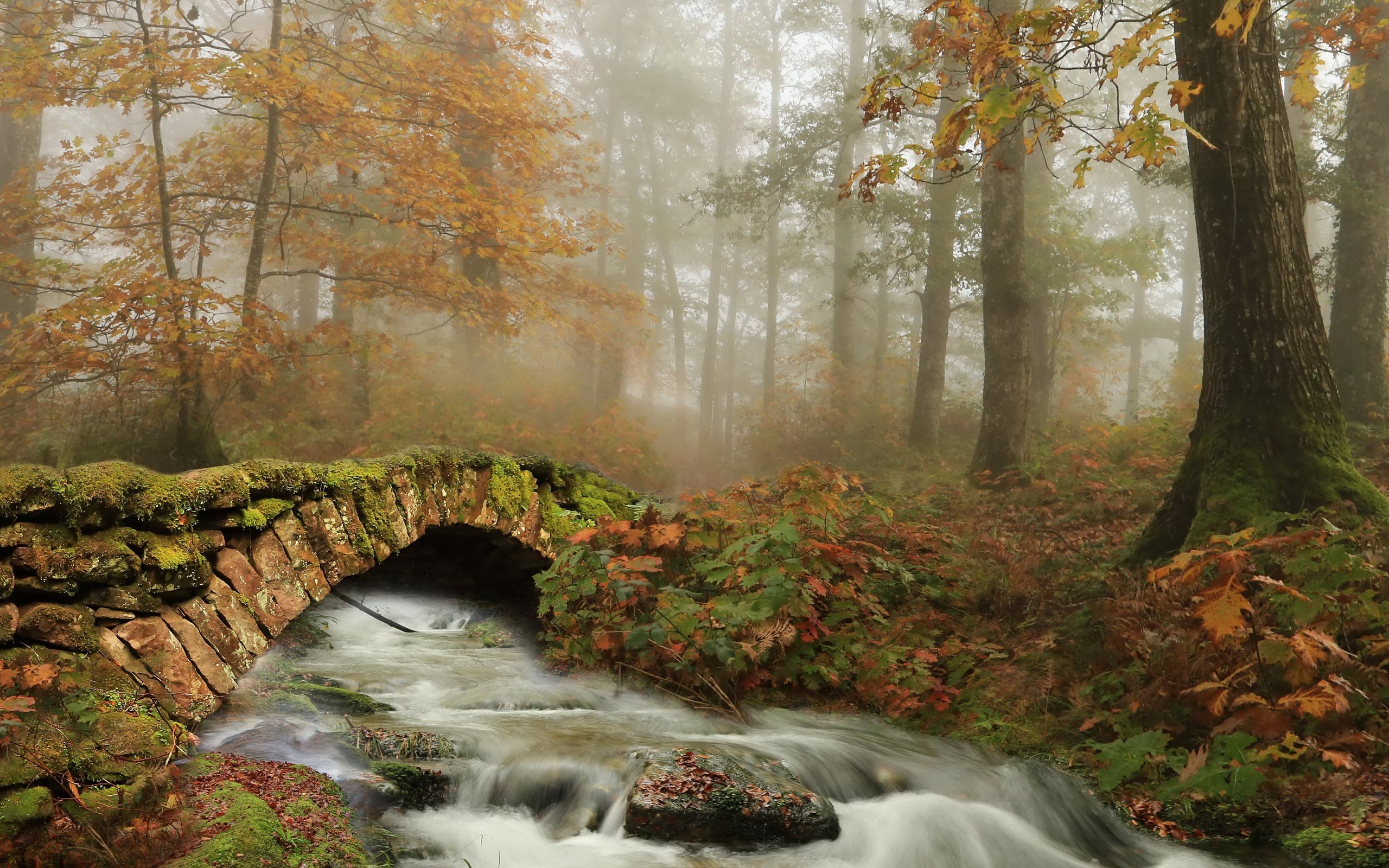 Обои мост, осень, bridge, autumn разрешение 3840x2160 Загрузить